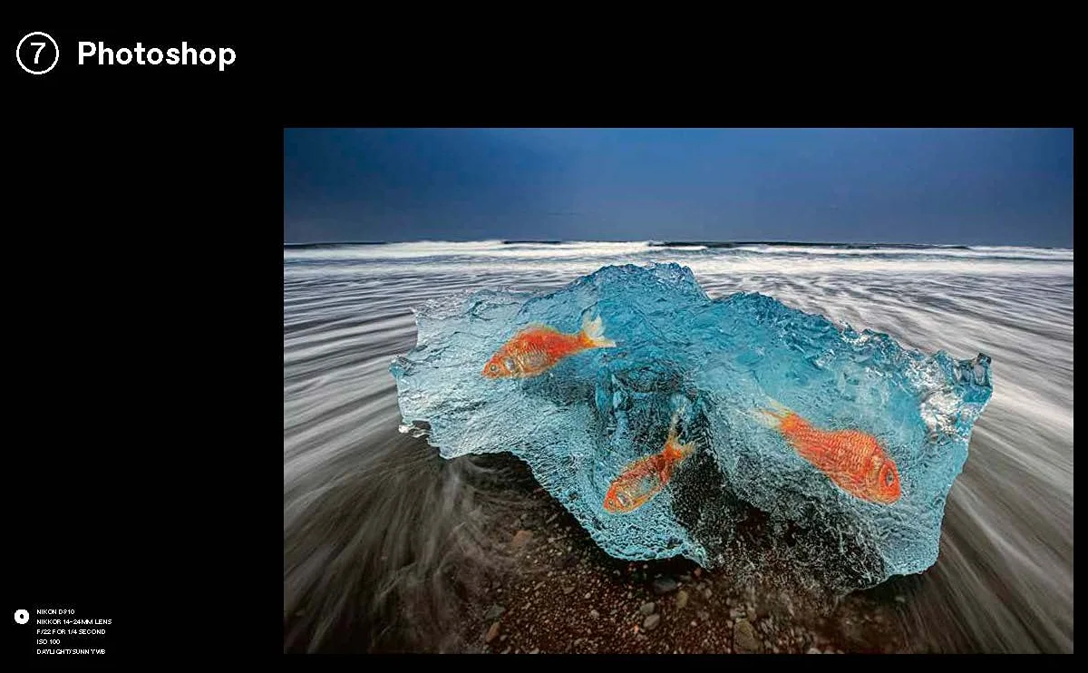 Bryan Peterson Photography School: A Master Class in Creating Outstanding Images