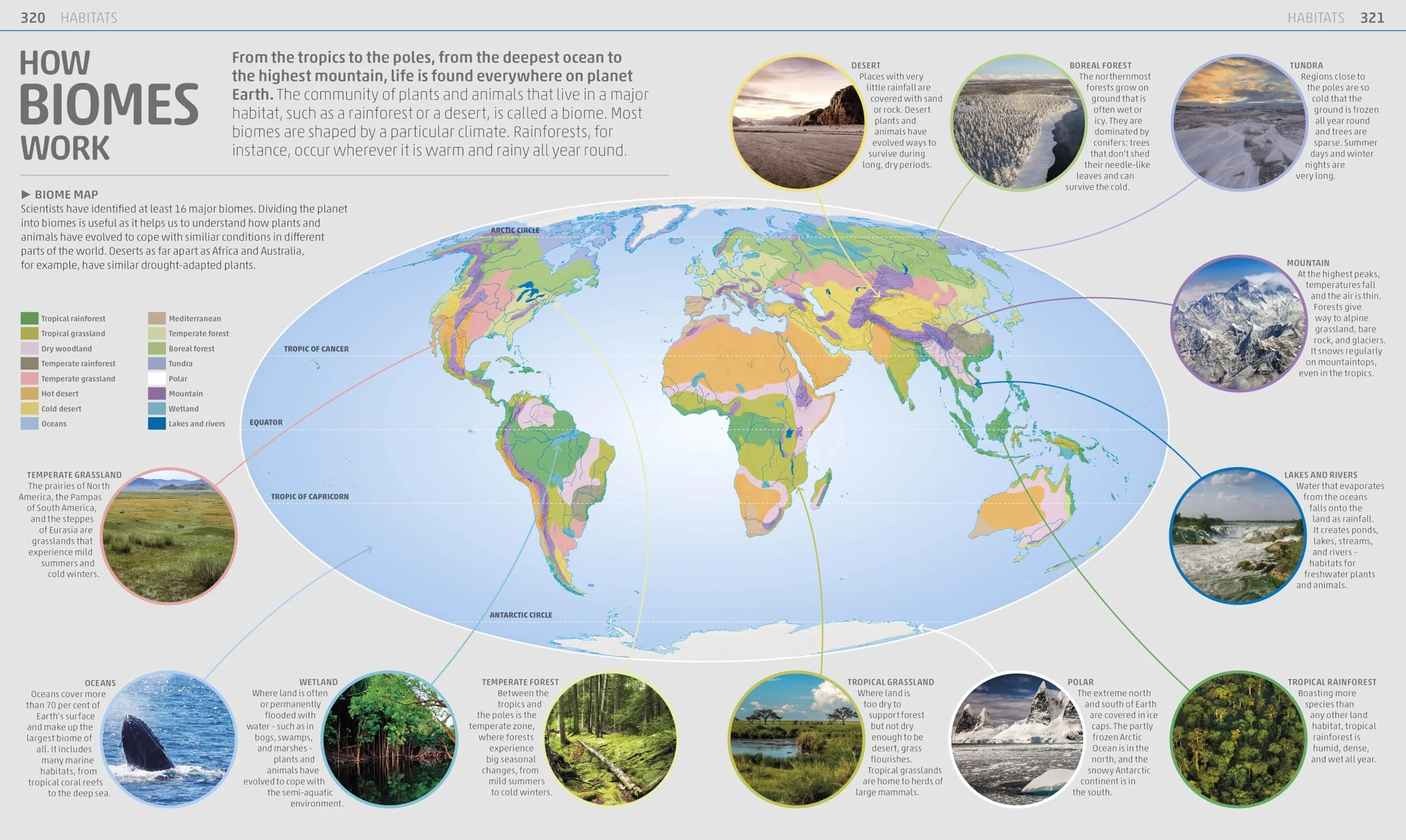 Explanatorium of Nature: Where the Wonders of the World are Revealed