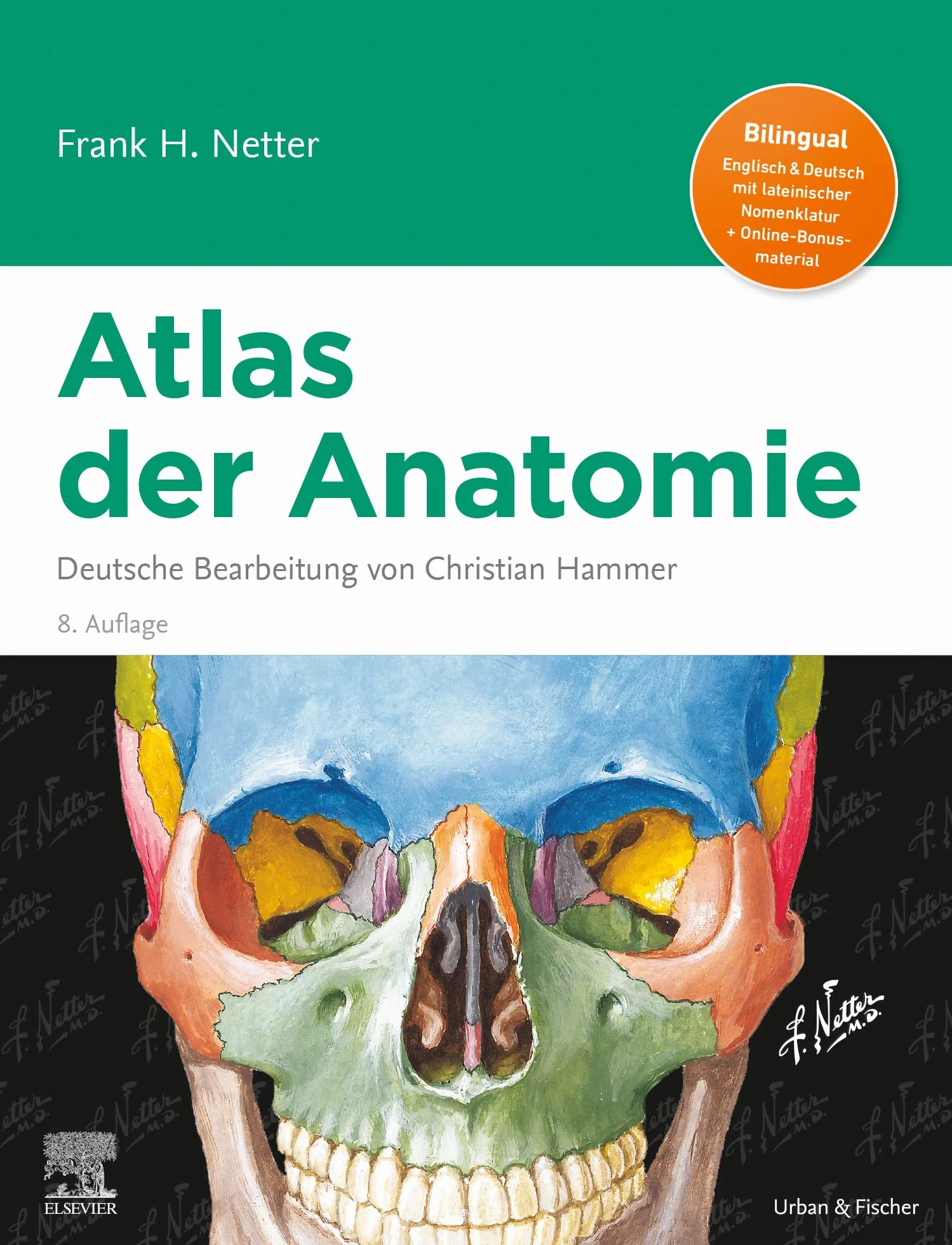 Netter Atlas der Anatomie: Deutsche Bearbeitung von Christian Hammer