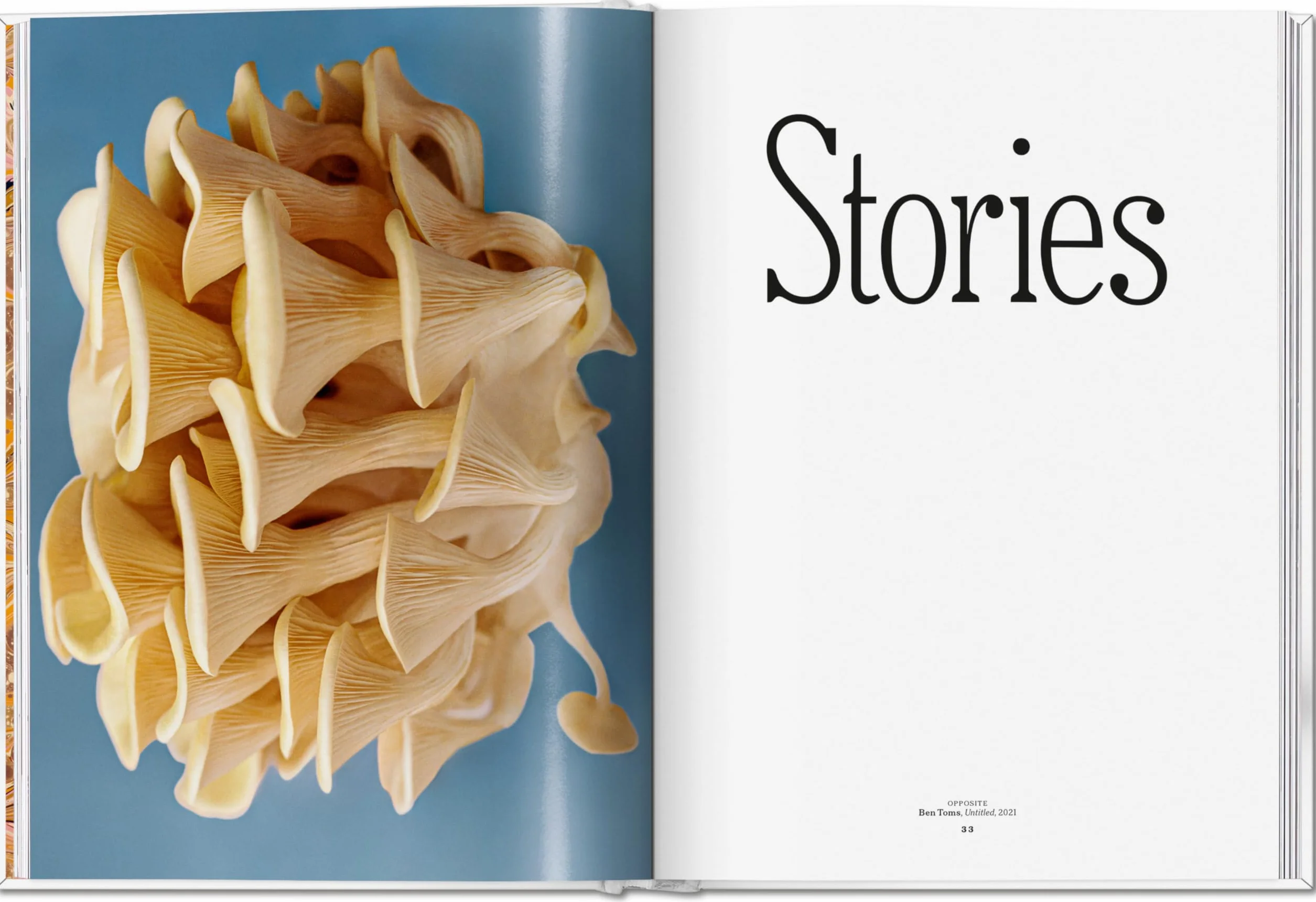 The Gourmand's Mushroom: A Collection of Stories & Recipes