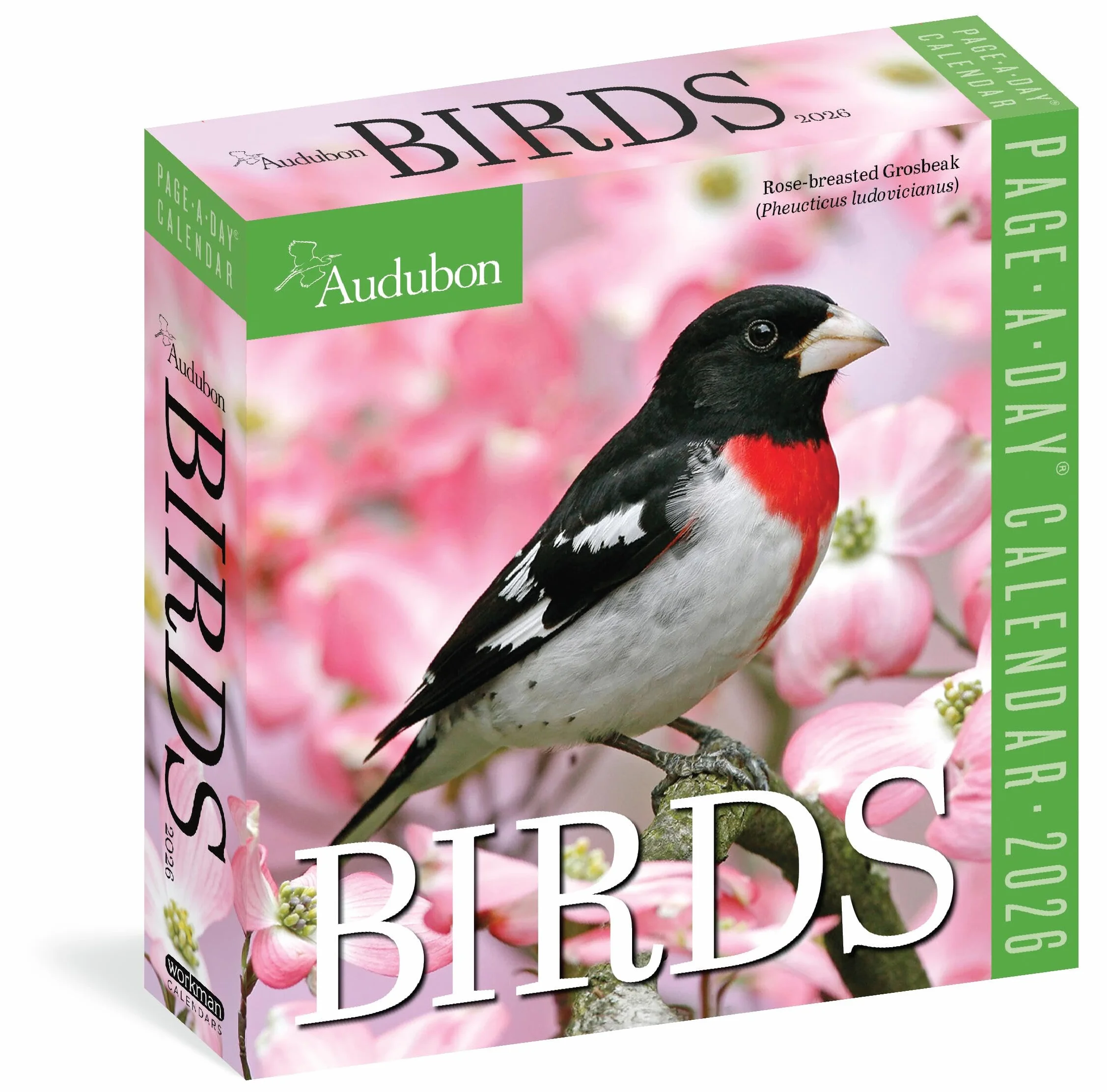 Audubon Birds Page-A-Day Calendar 2026