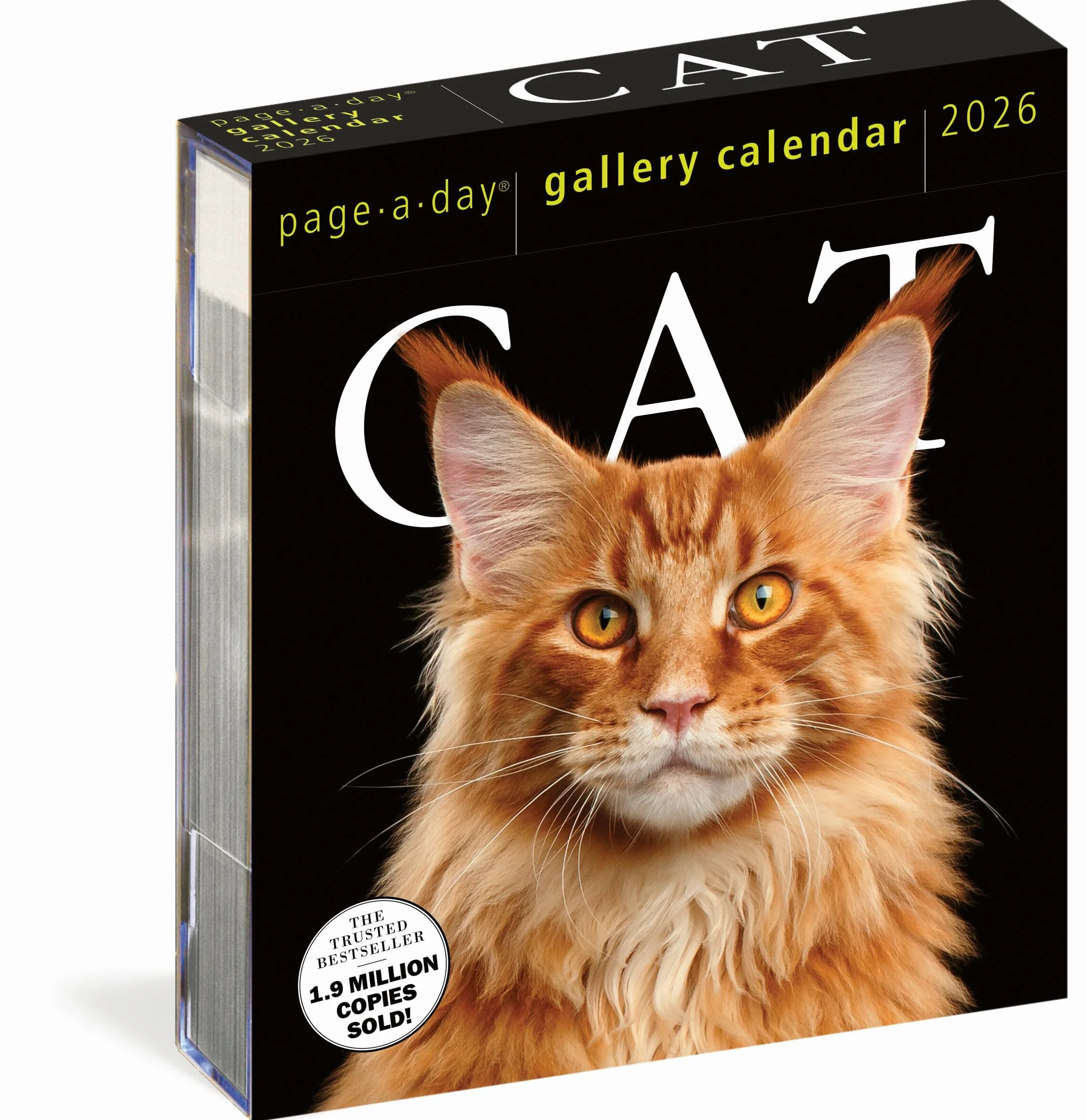 Cat Page-A-Day® Gallery Calendar 2026