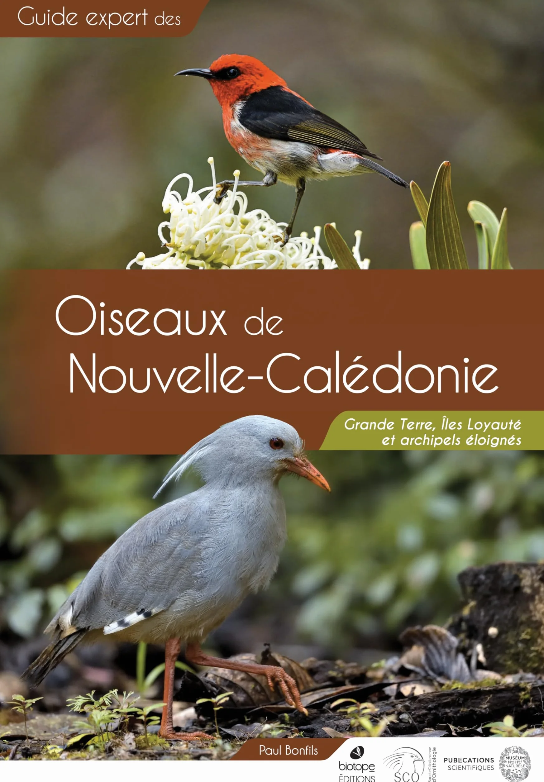 Guide des Oiseaux de Nouvelle-Calédonie: Grande Terre, Iles Loyauté et archipels éloignés