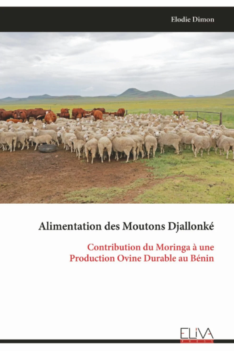 Alimentation des Moutons Djallonké: Contribution du Moringa à une Production Ovine Durable au Bénin