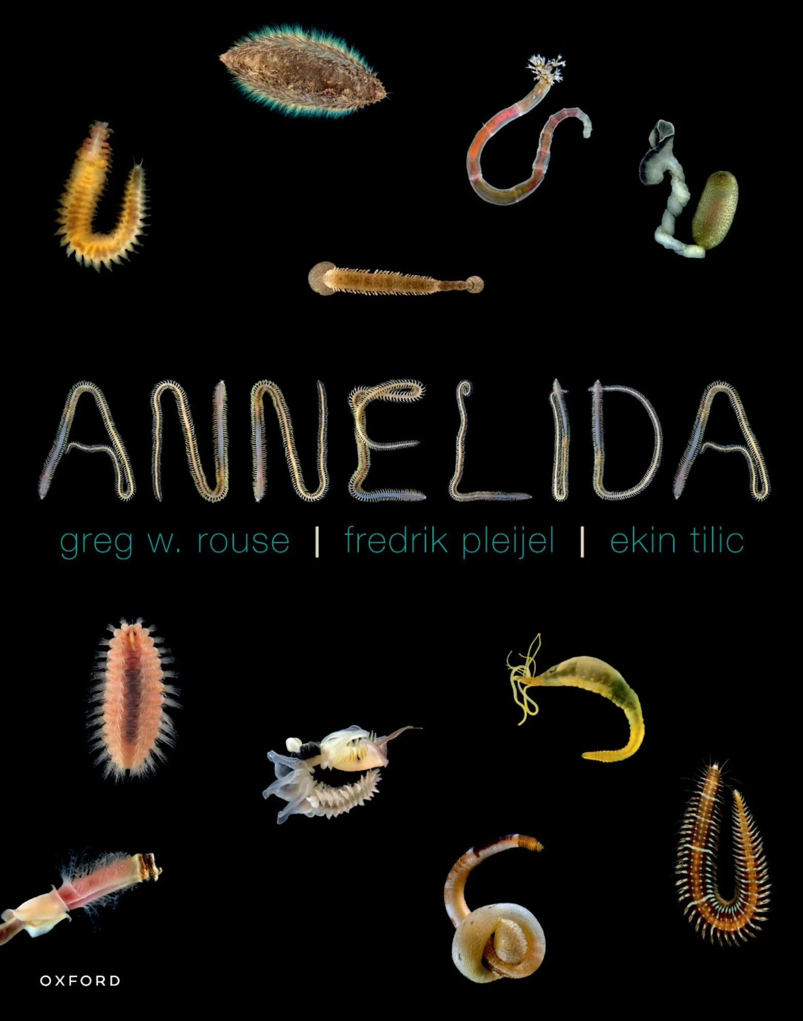 Annelida