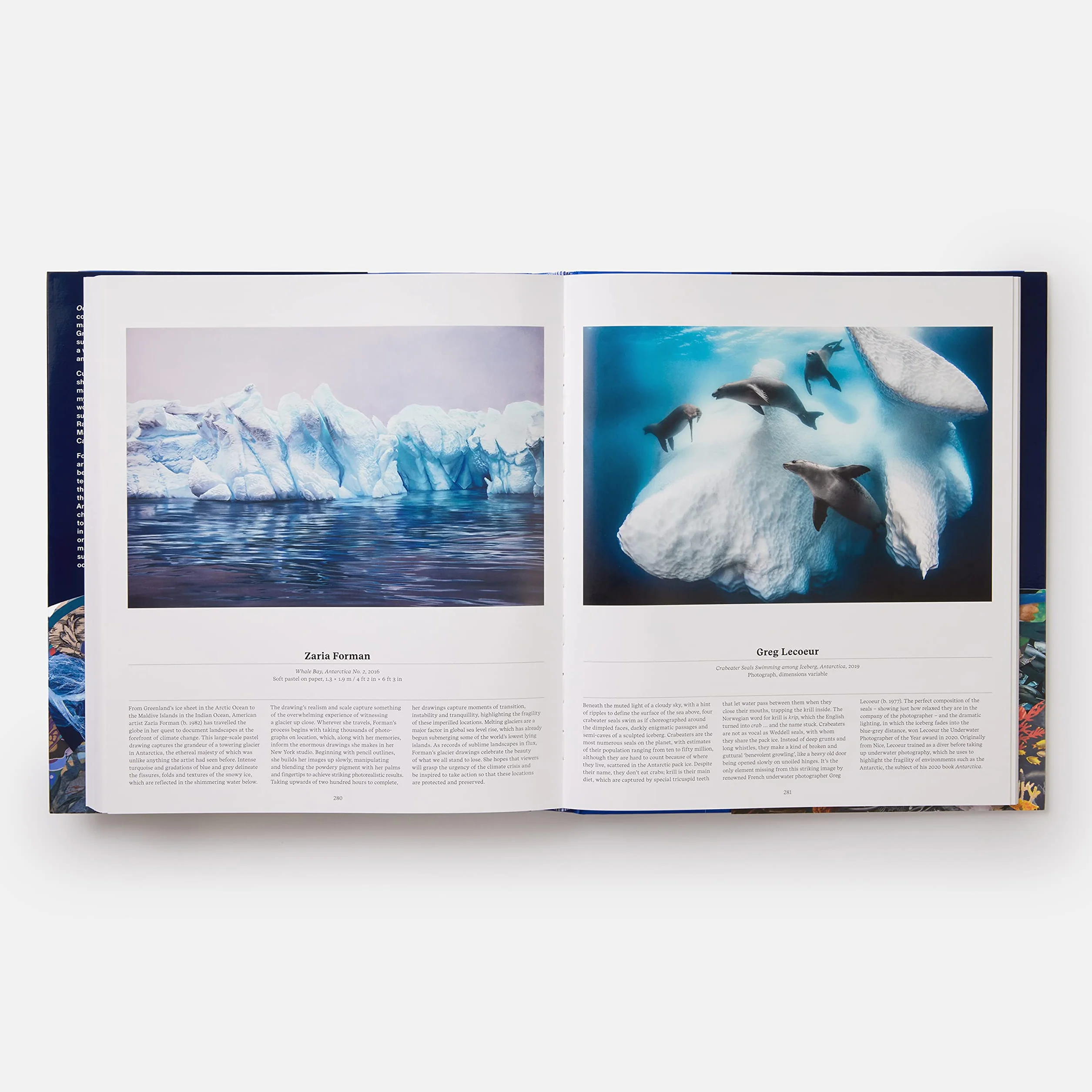 Ocean: exploring the marine world