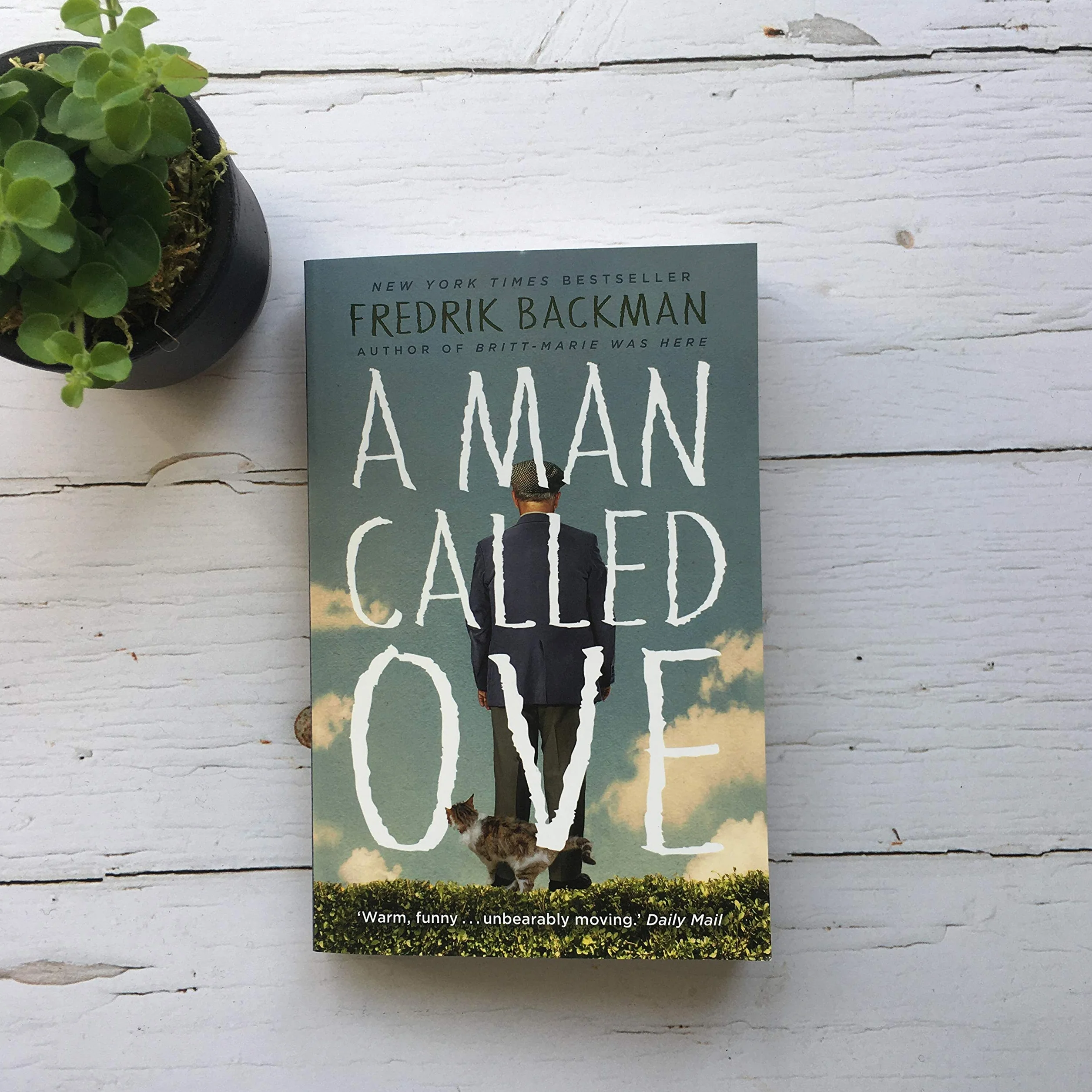A Man Called Ove: The global bestselling phenomenon
