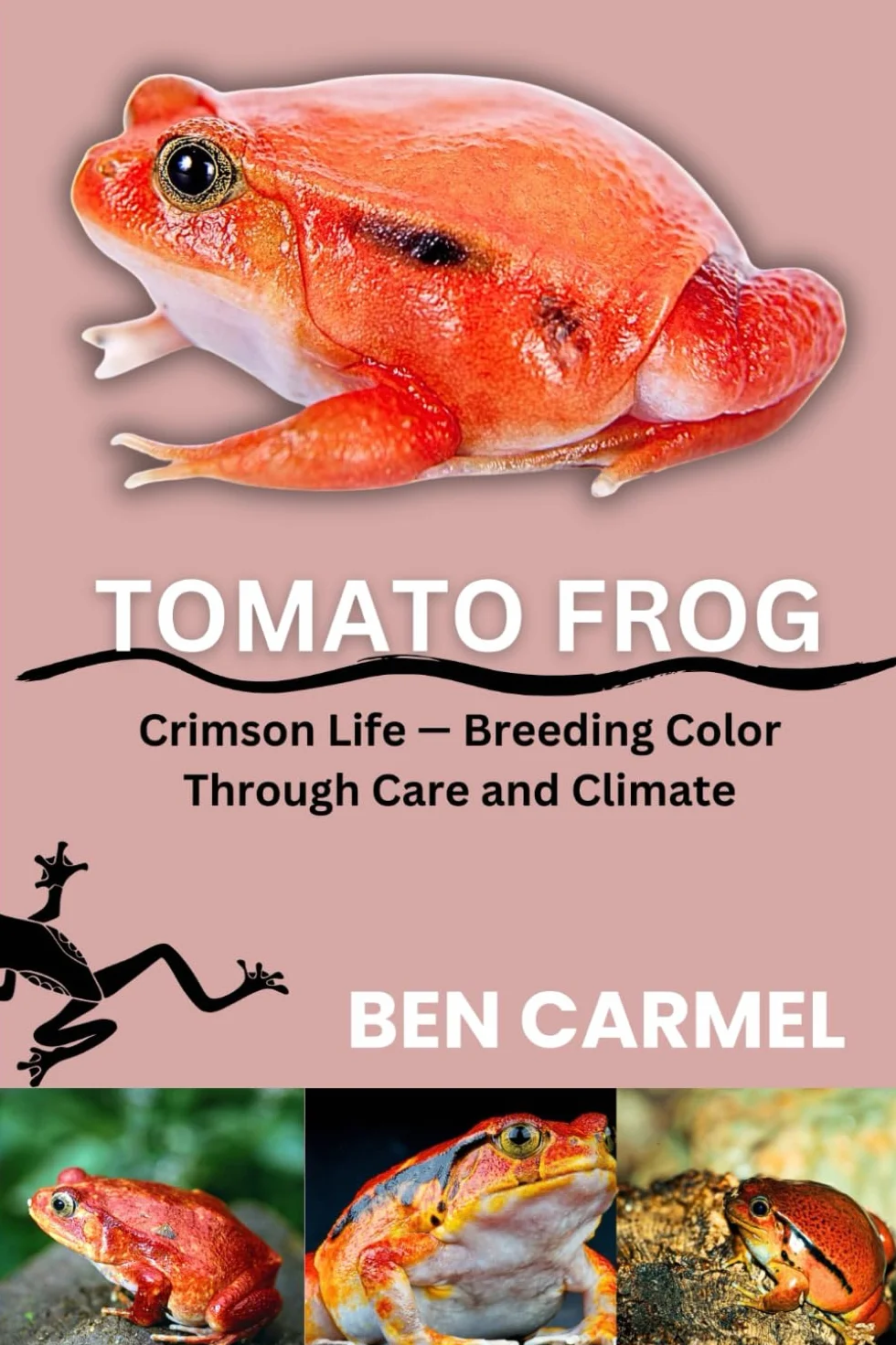 TOMATO FROG: Crimson Life — Breeding Color Through Care and Climate