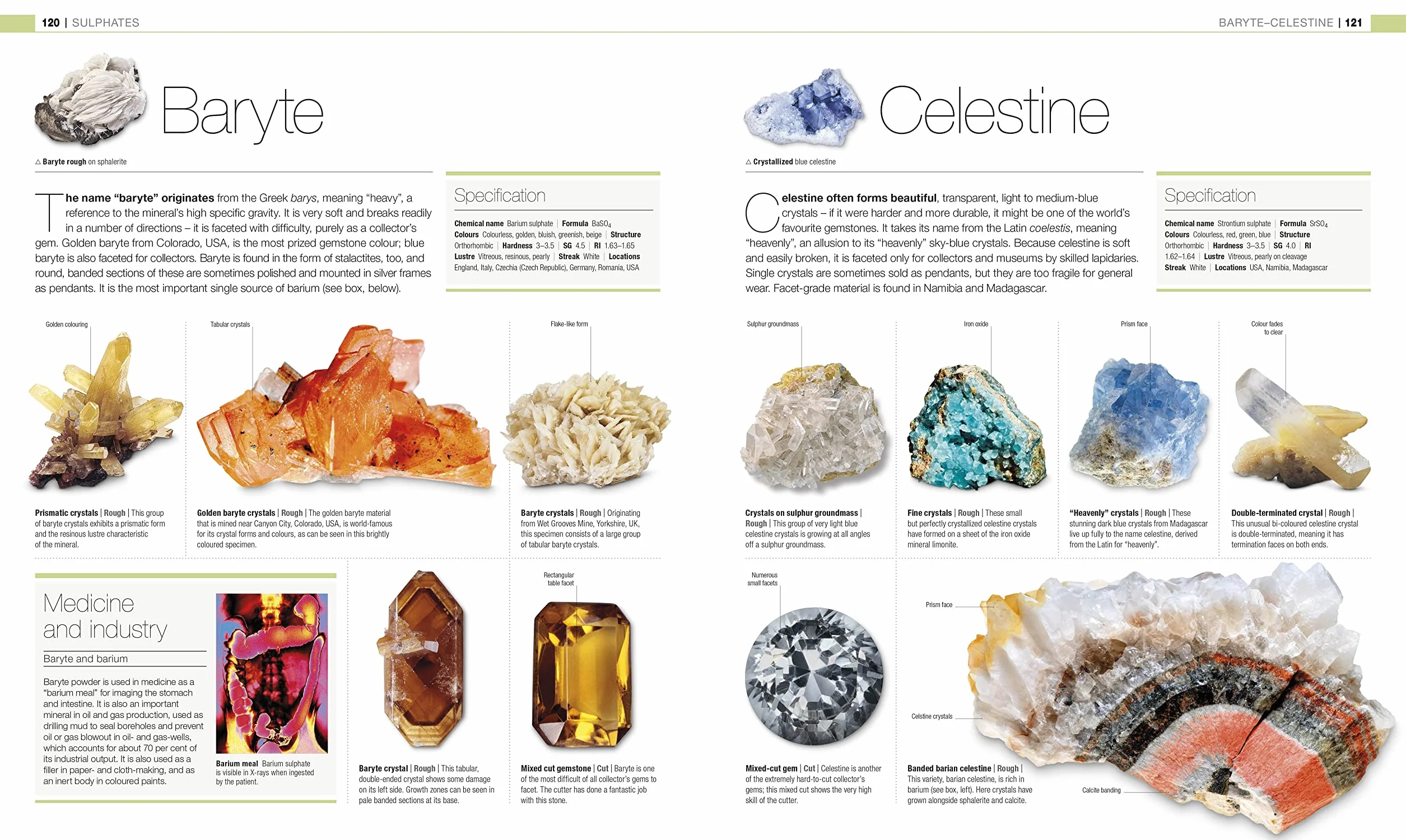 Jewel: The Definitive Visual Guide
