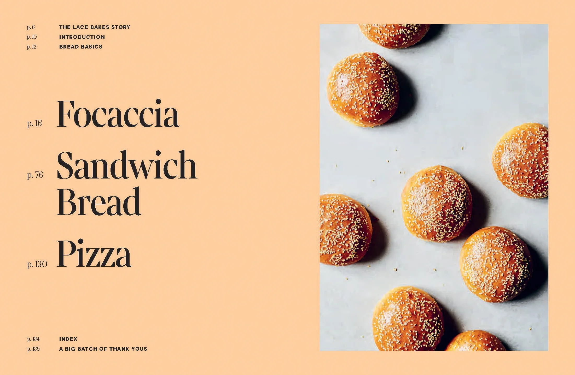 3 Doughs, 60 Recipes: Focaccia, Pizza, Sandwich Bread - Easy-To-Master Doughs and Delicious Ways to Enjoy Them