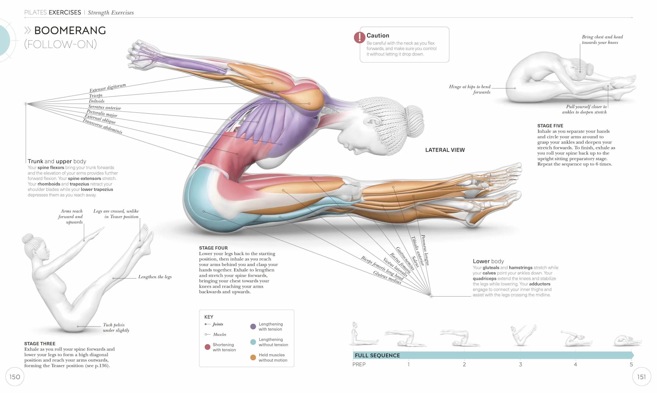 Science of Pilates: Understand the Anatomy and Physiology to Perfect Your Practice