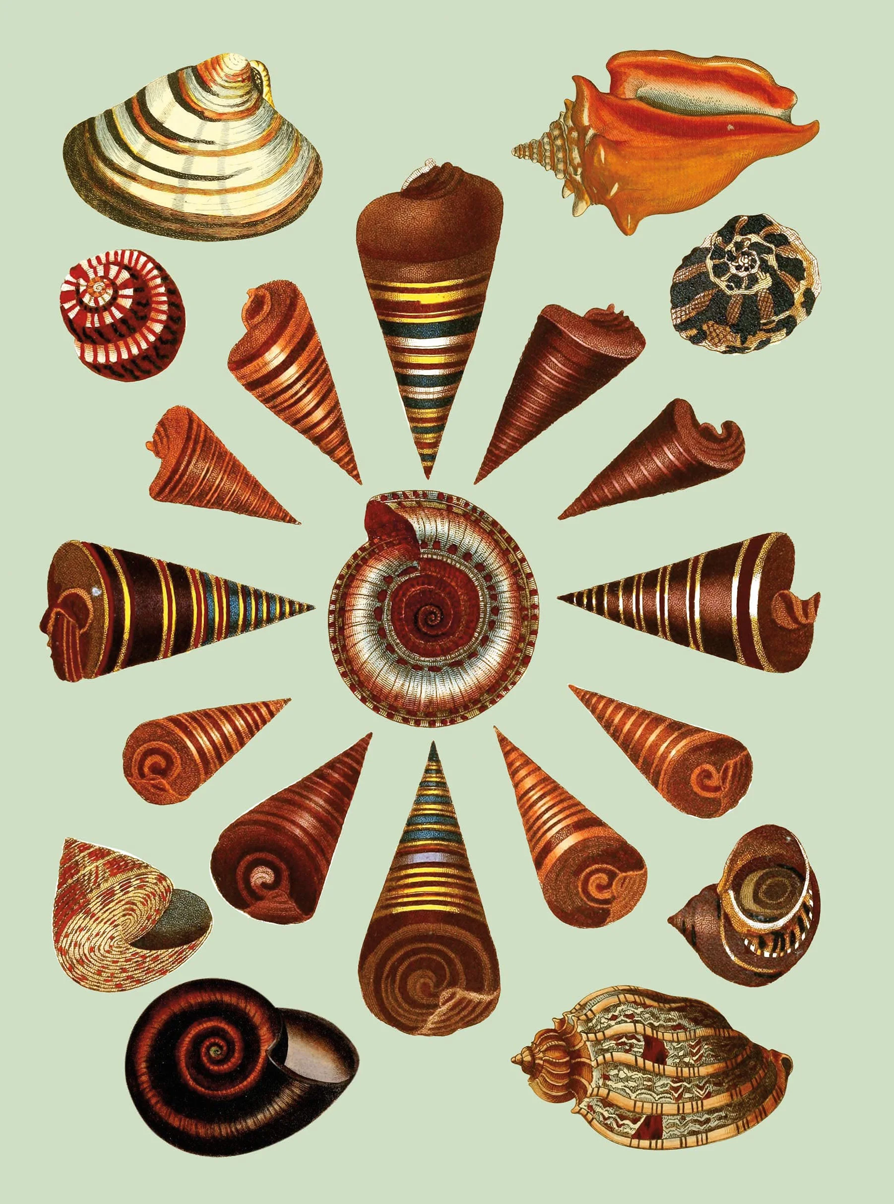 The Antiquarian Sticker Book (Over 1,000 Exquisite Victorian Stickers) /anglais