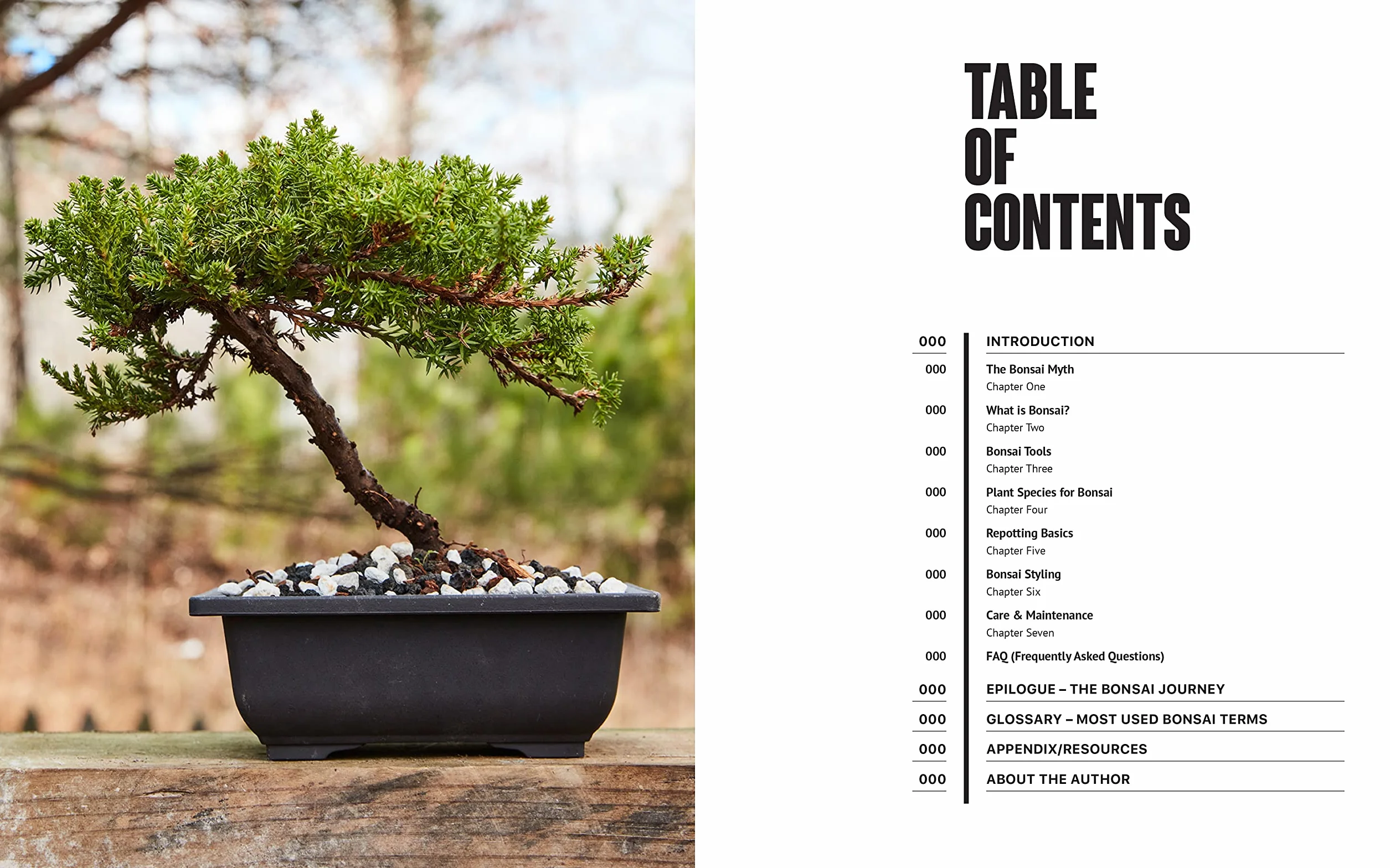 Freestyle Bonsai: How to Pot, Grow, Prune, and Shape - Bend the Rules of Traditional Bonsai