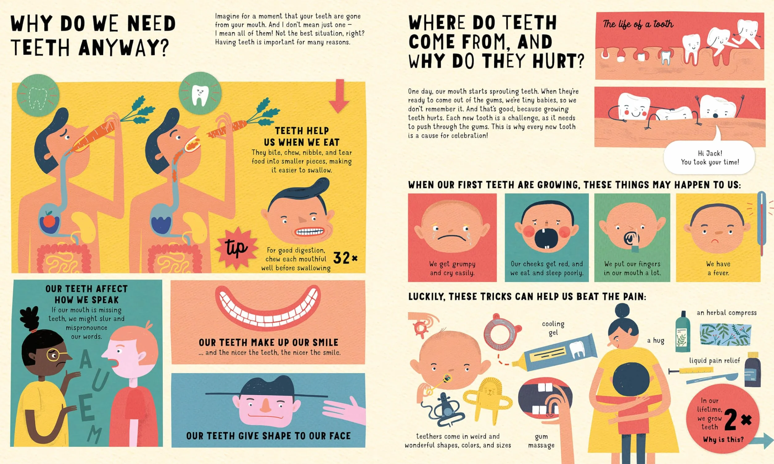 Teeth: You Only Get Two Sets