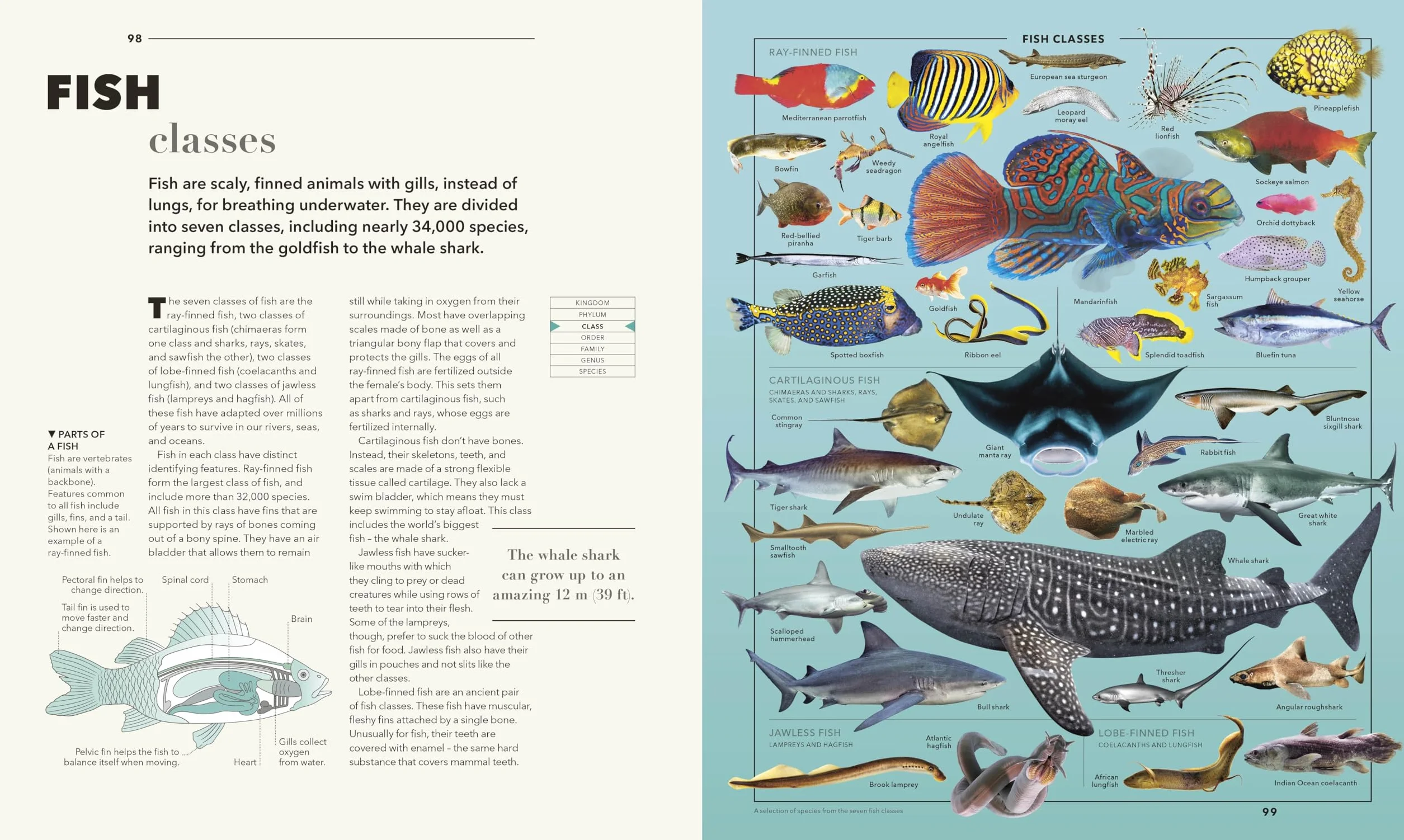 Knowledge A Visual Compendium: Making Sense of our World