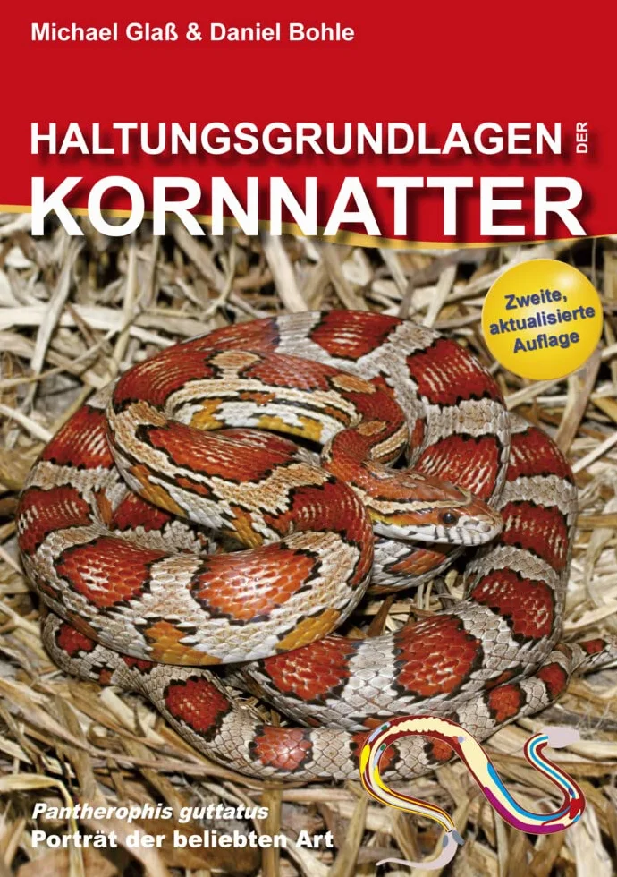 Kornnatter Haltungsgrundlagen