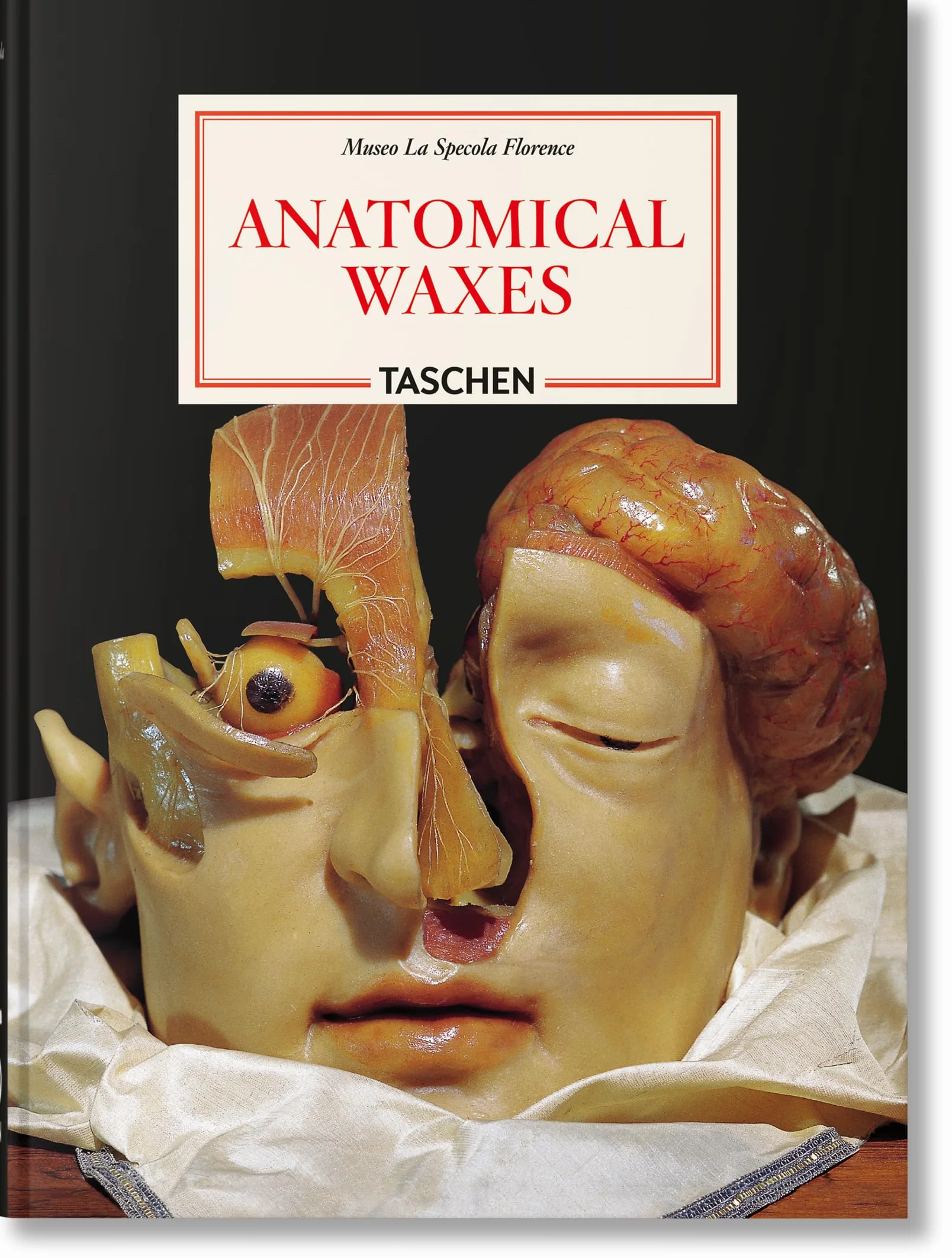 Anatomical Waxes. 45th Ed.