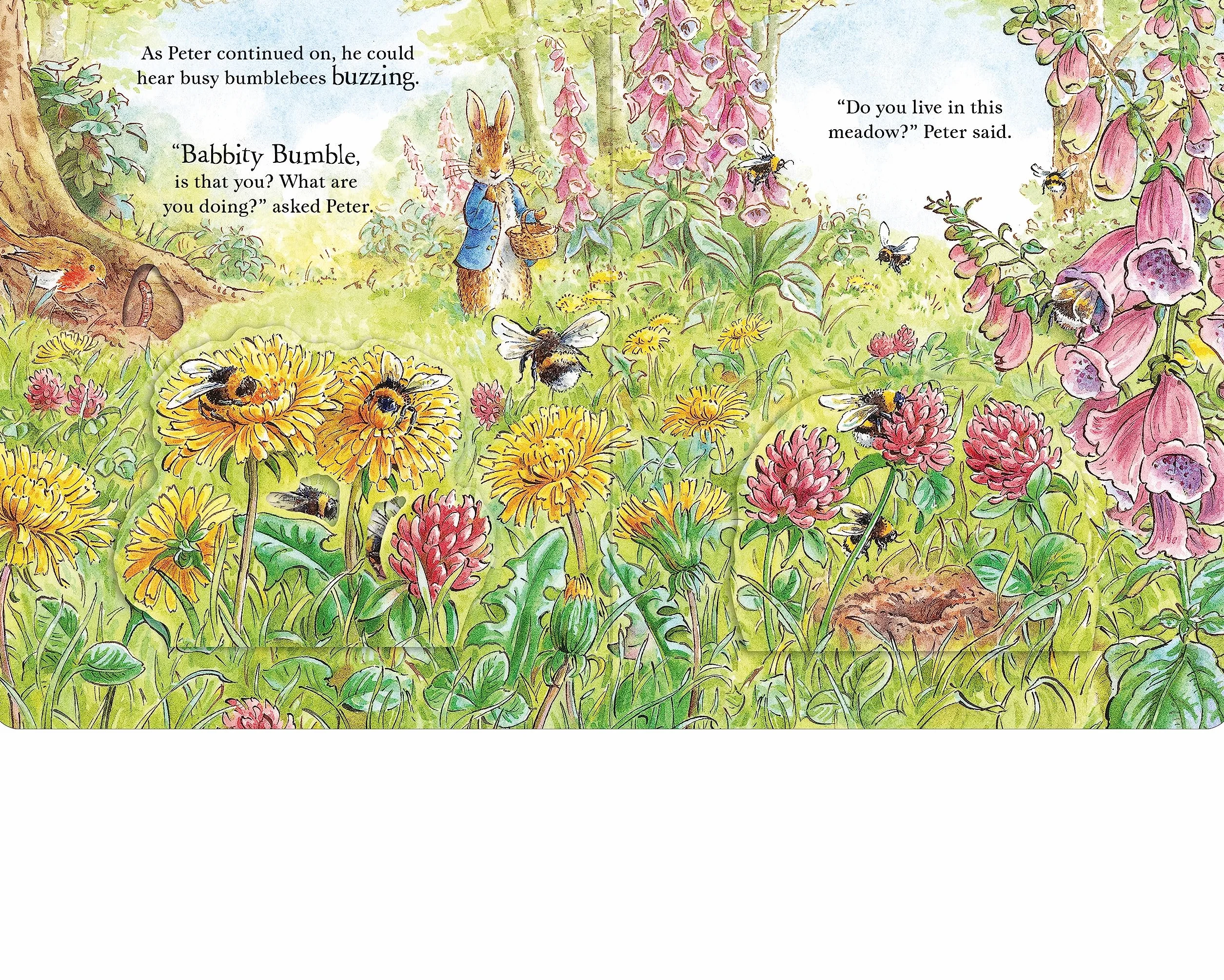 Peter Rabbit: Forest Homes A Peep-Inside Tale