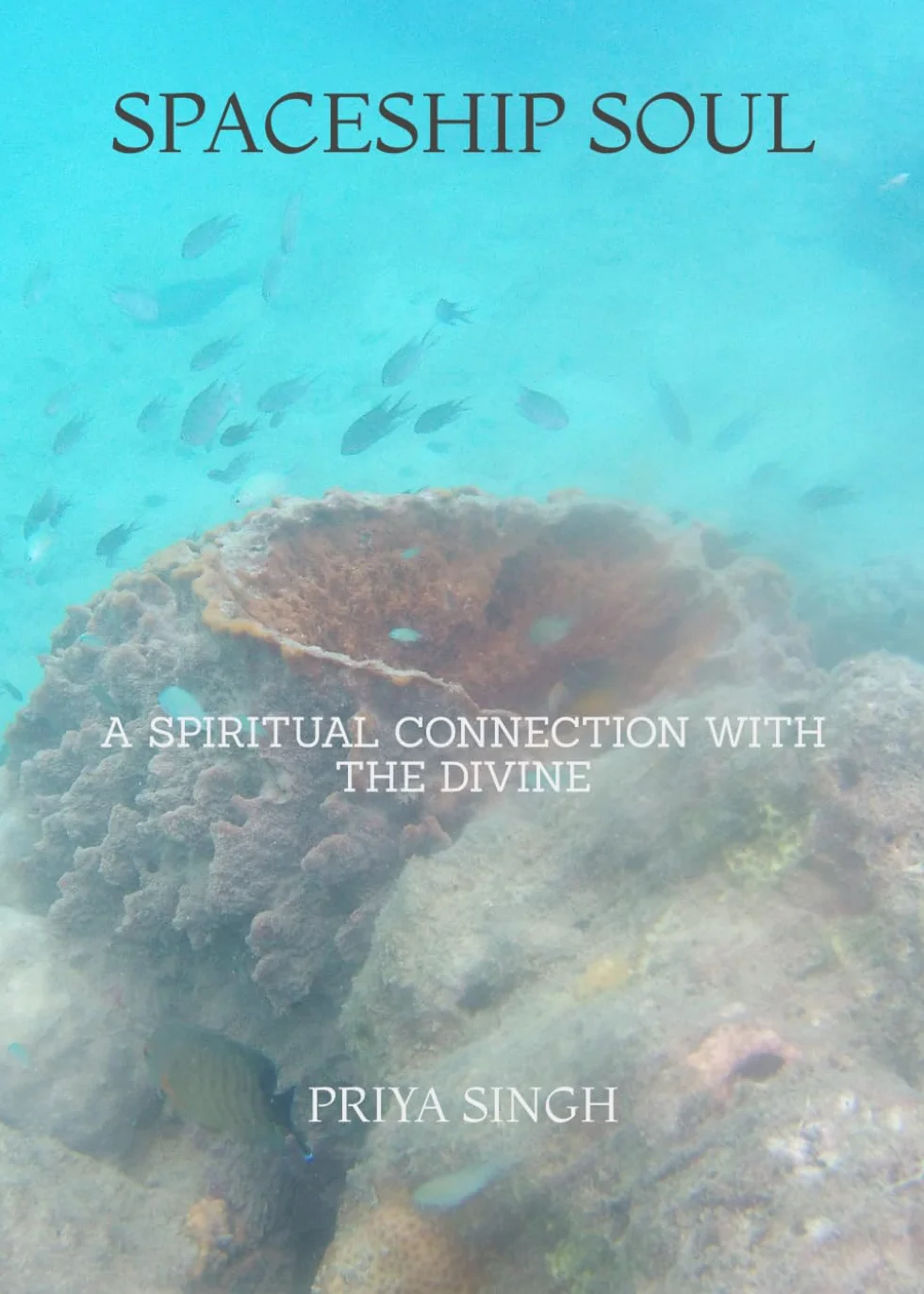 Spaceship Soul: A Spiritual Connection with the Divine