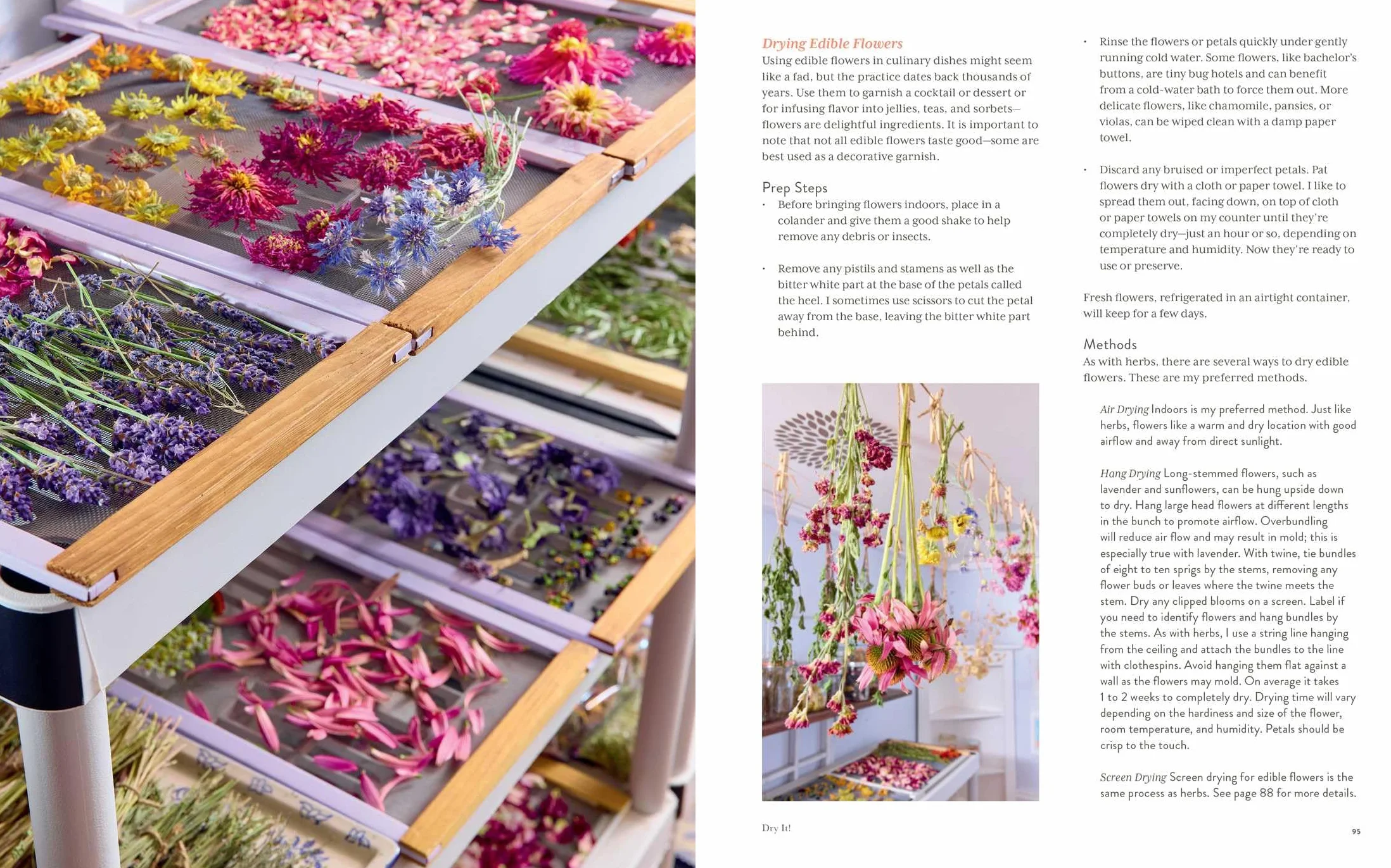 Preserving the Seasons: A Guide to Canned, Jammed, Frozen, Dehydrated, Freeze-Dried, Quick-Pickled, and Infused Produce, Herbs, and Flowers (a Cookbook)