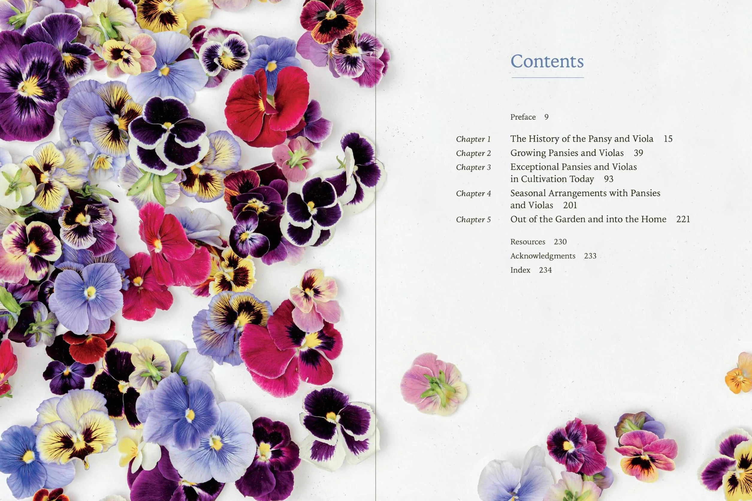 Pansies Violas Growing Guide: Create Beauty with Pansies and Violas
