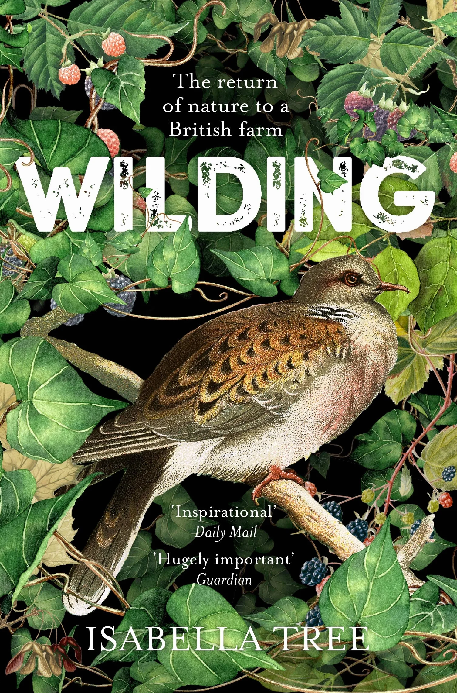 Wilding: The Return of Nature to a British Farm