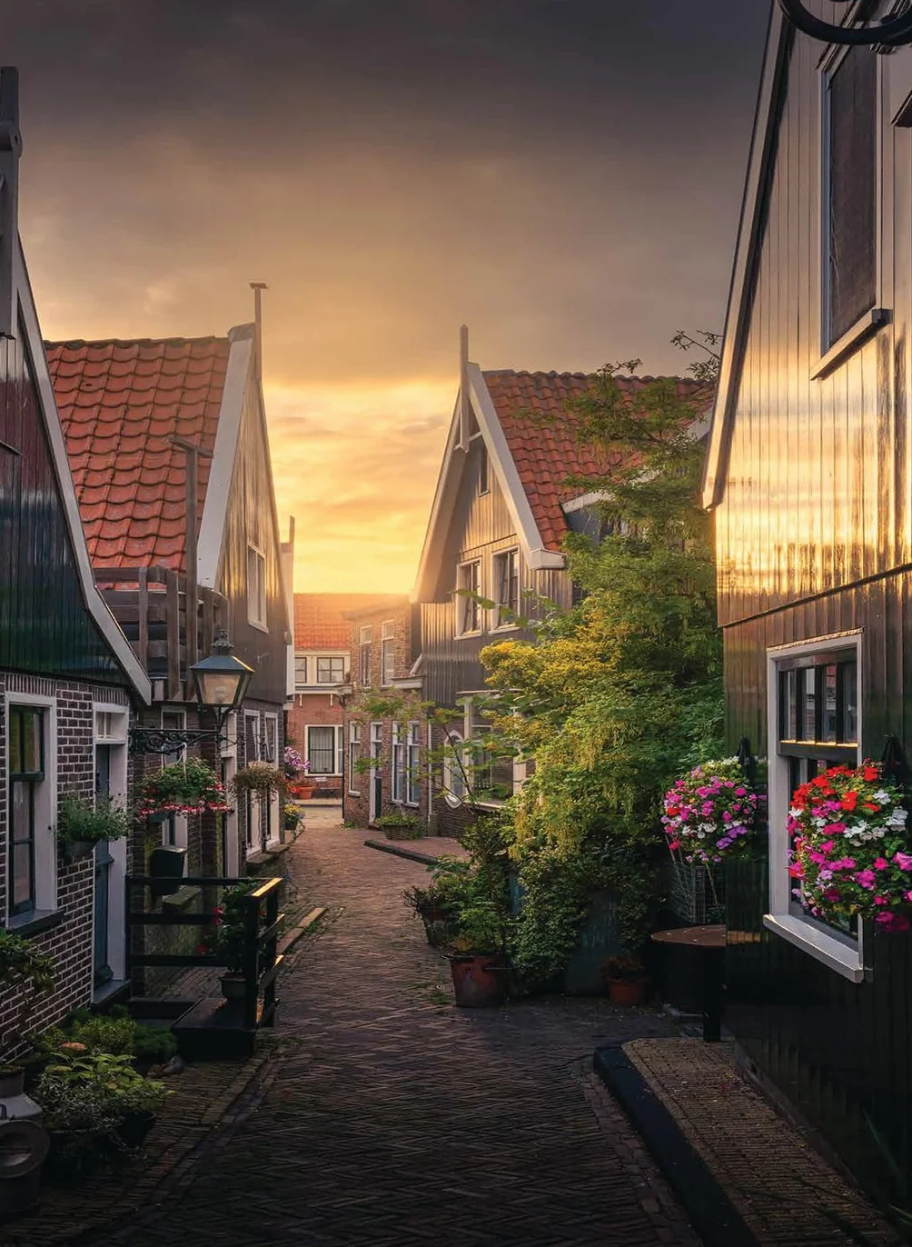 The Beauty of the Netherlands: 10 Years of Photography by Albert Dros
