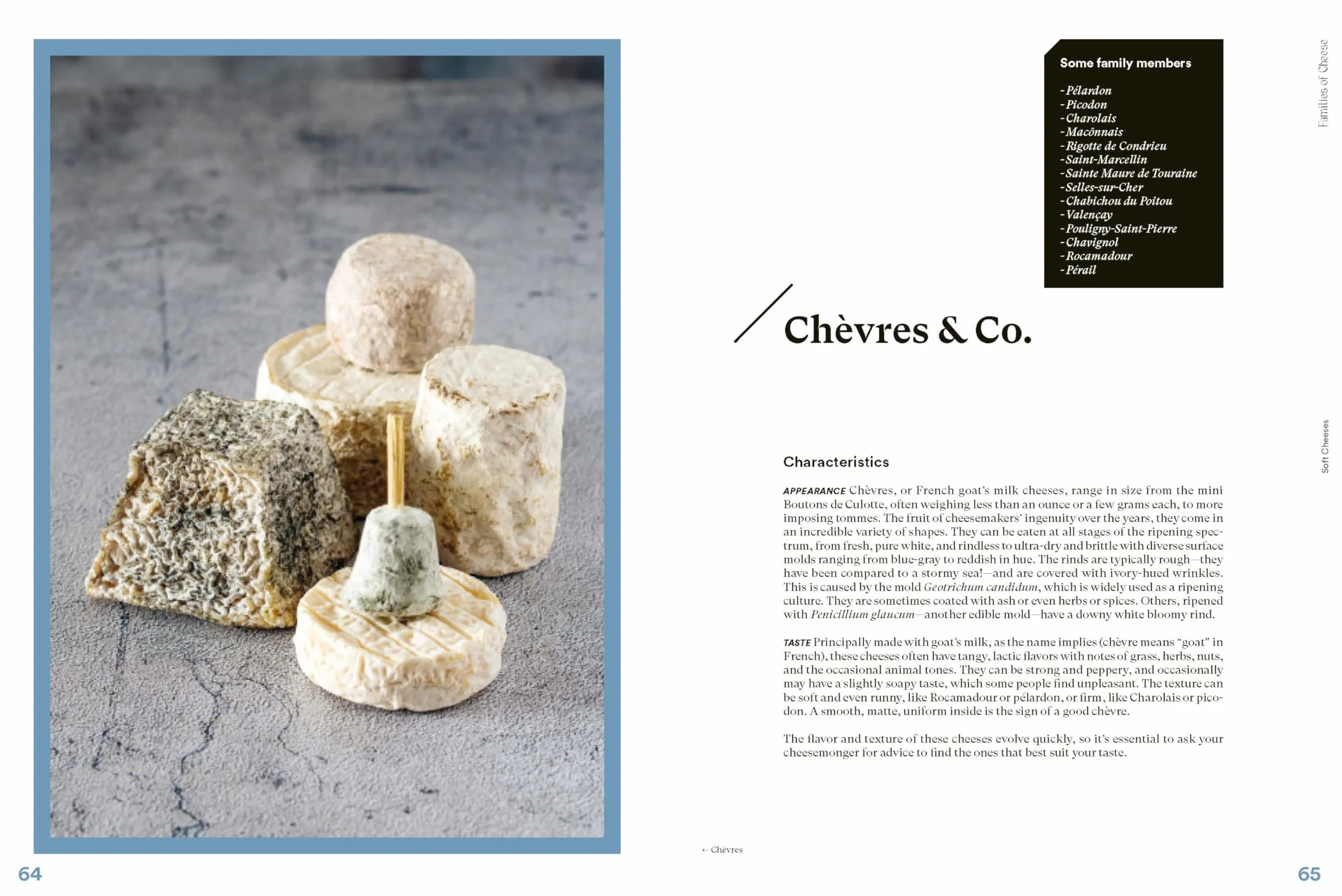 The Complete Book of Cheese: History, Techniques, Recipes, Tips