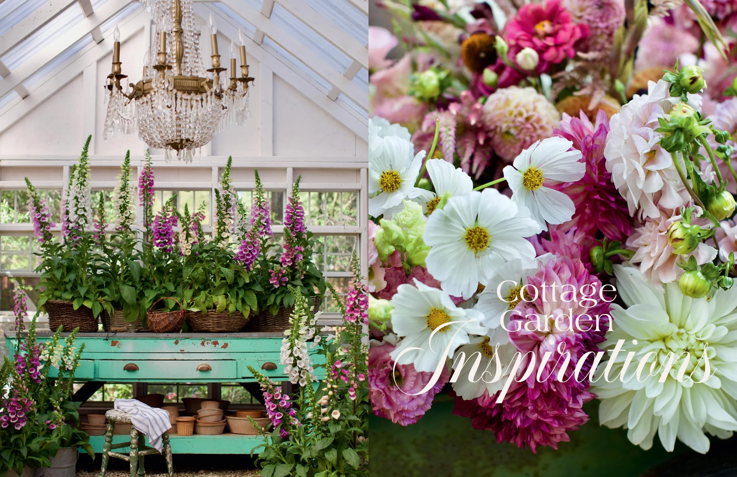 French Country Cottage in Bloom