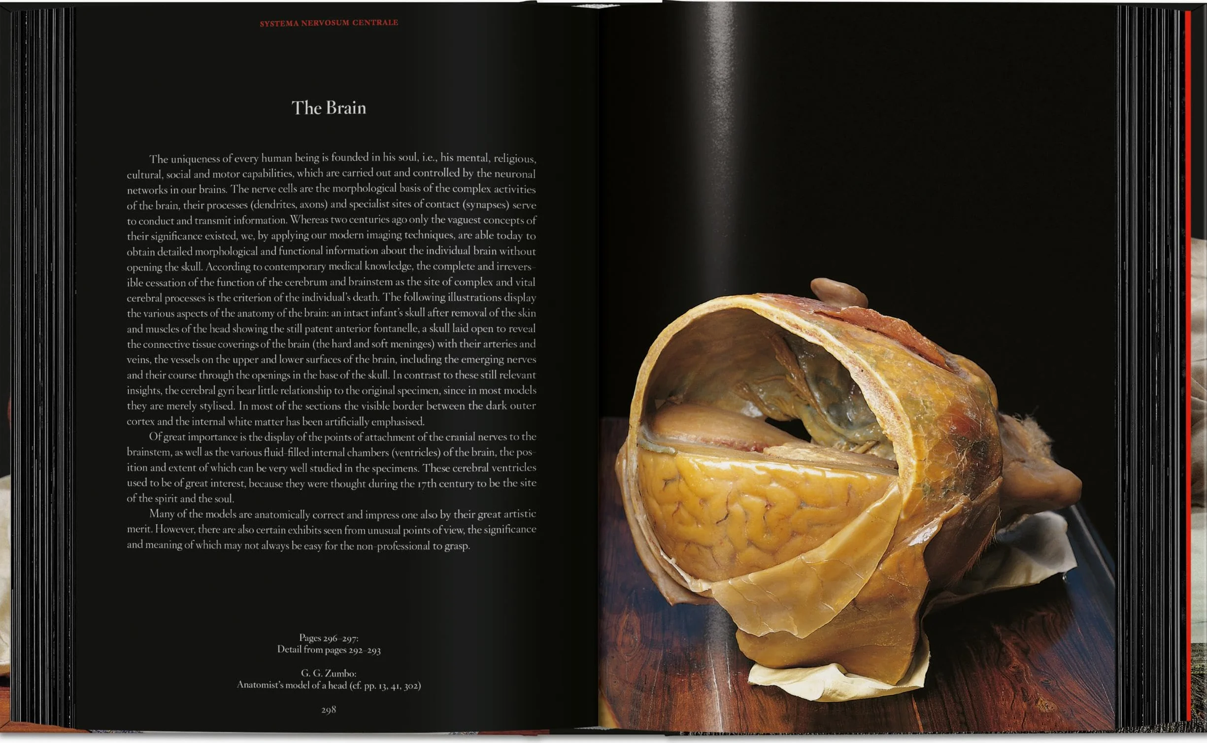 Anatomical Waxes. 45th Ed.