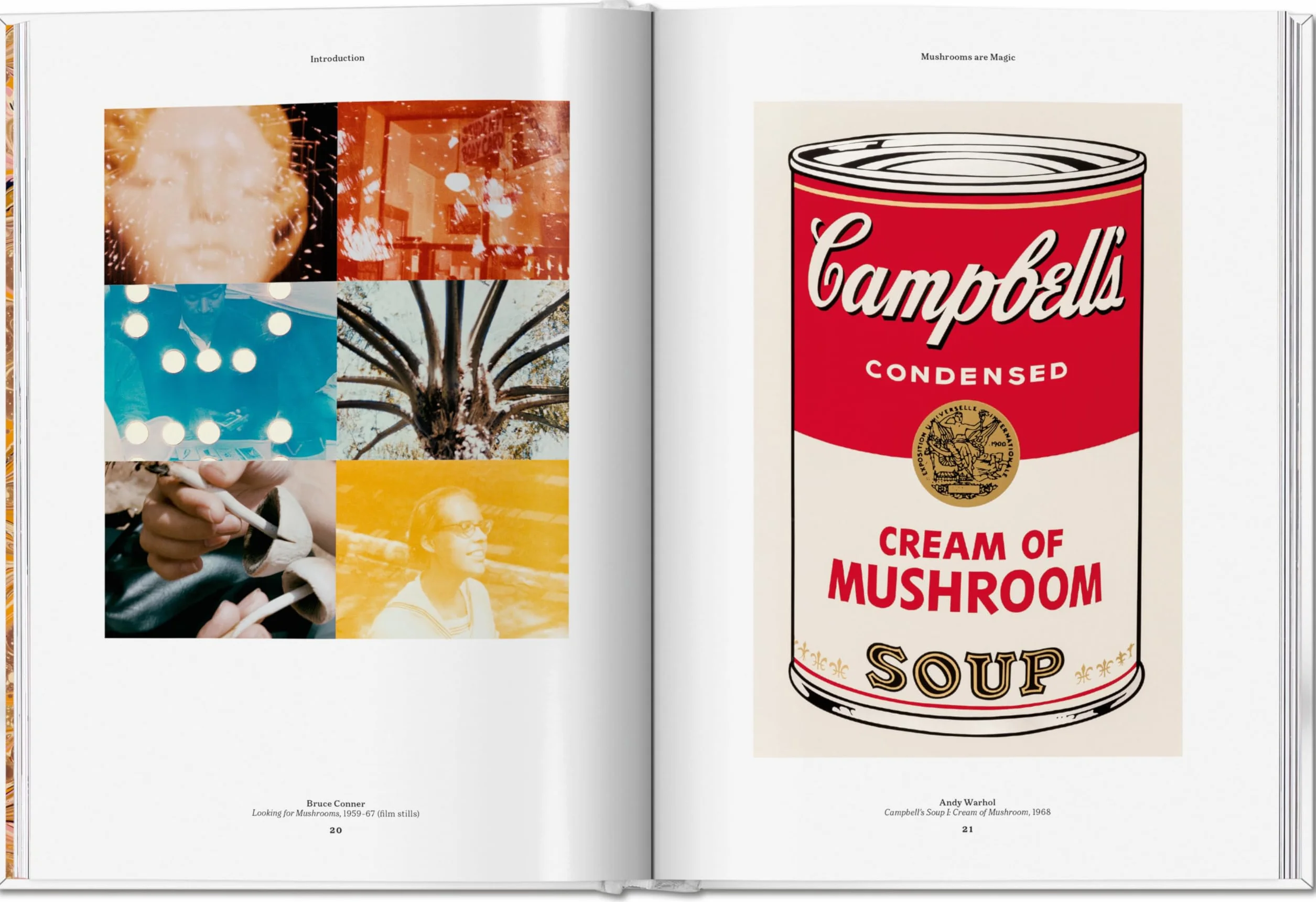 The Gourmand's Mushroom: A Collection of Stories & Recipes