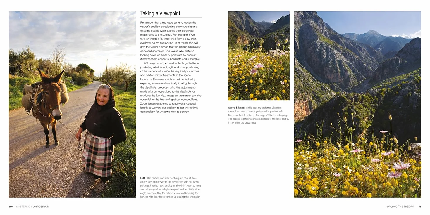 Mastering Composition: The Definitive Guide for Photographers