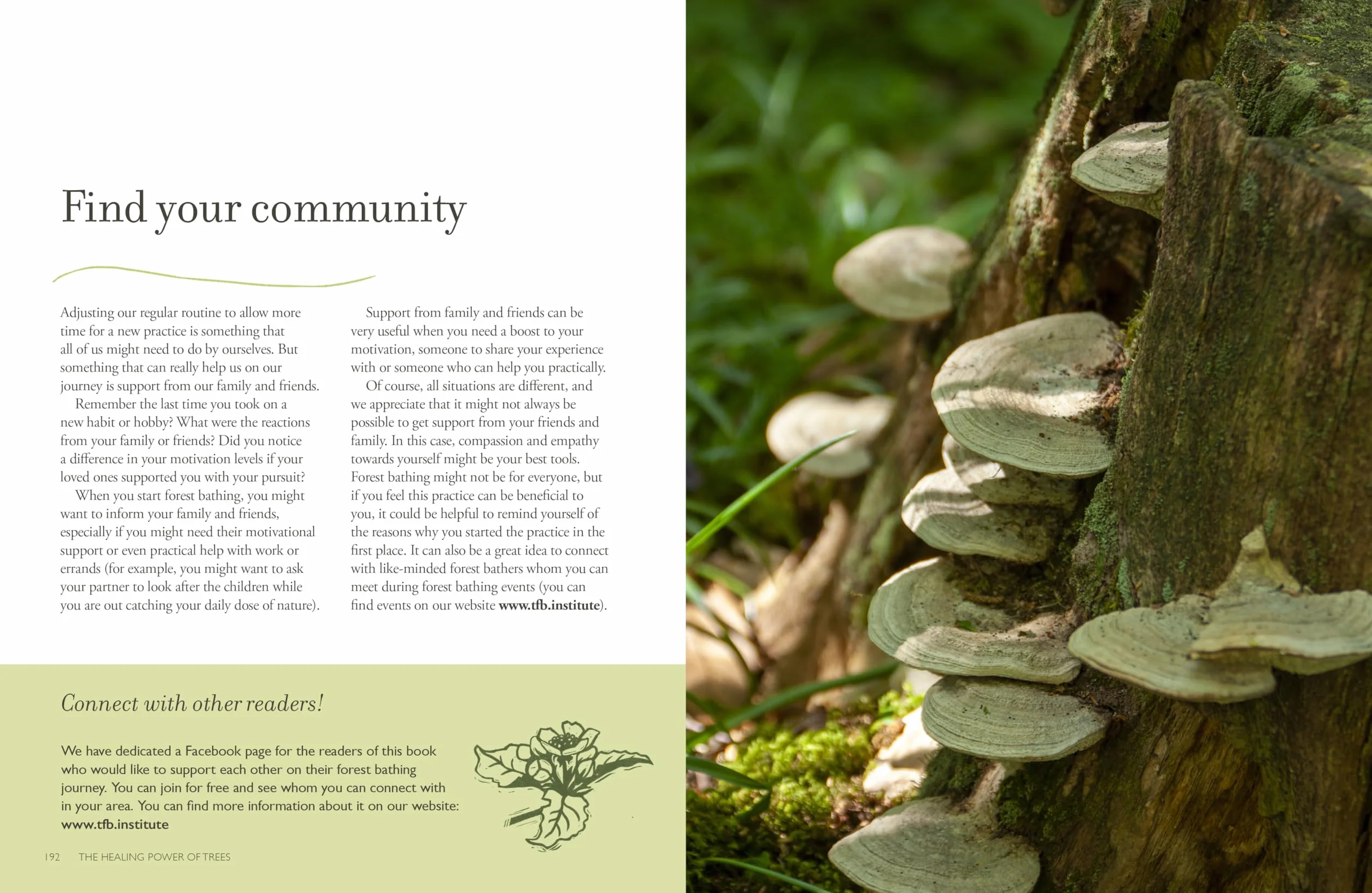 The Healing Power of Trees: The Definitive Guide to Forest Bathing
