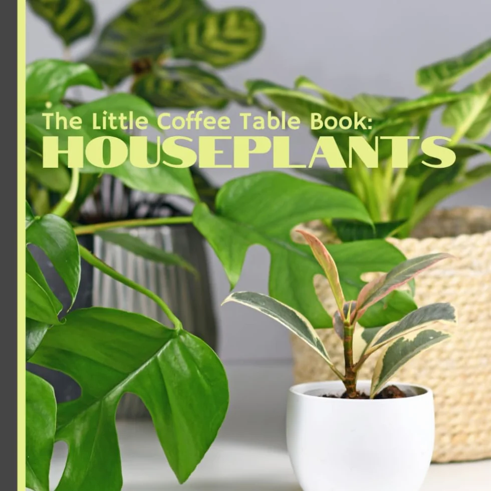 Houseplants: The Little Coffee Table Book – Ultimate Guide for Beginners (85 Pages)