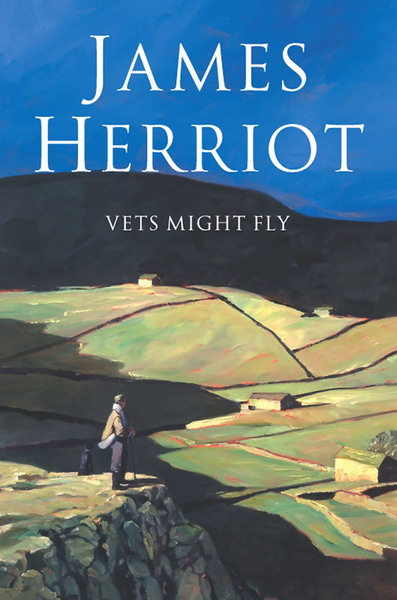 Vets Might Fly