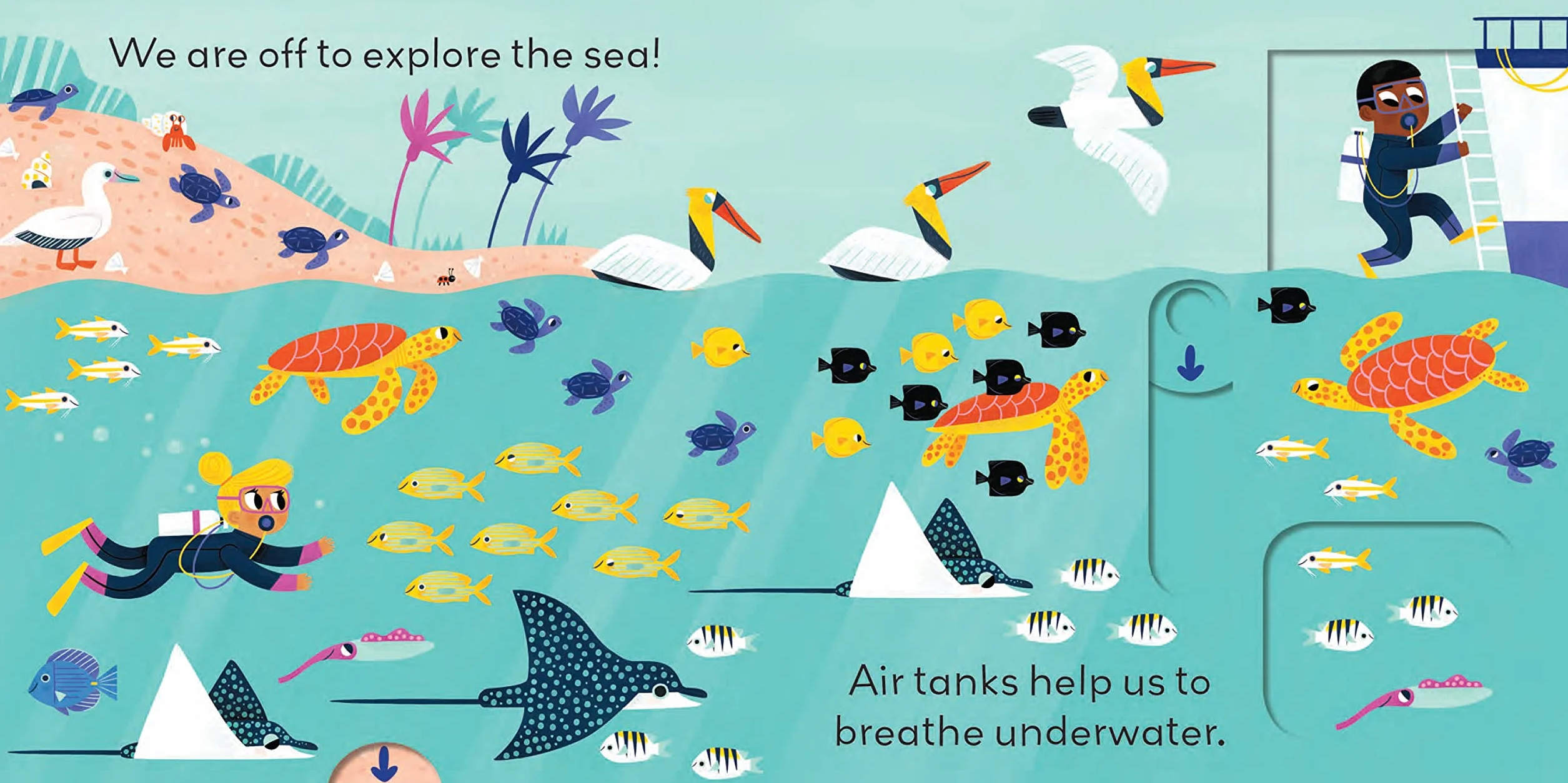 LITTLE WORLD: UNDER THE SEA: Under the Sea : A push-and-pull adventure