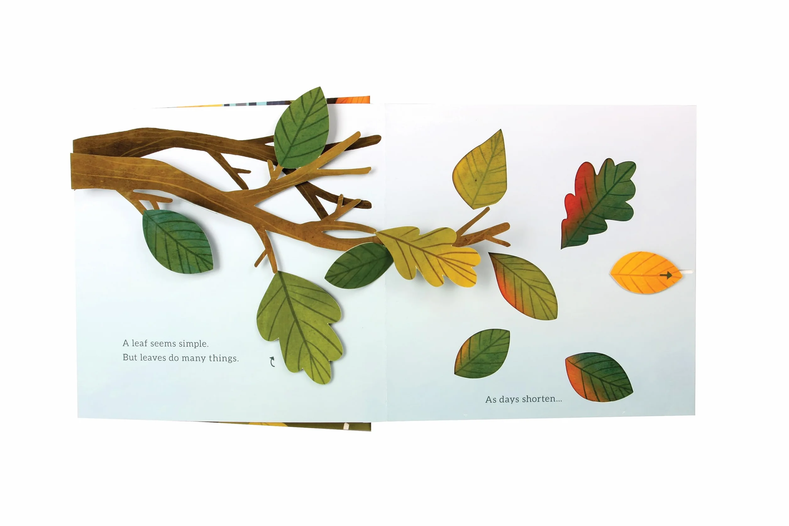 Leaves: An Autumn Pop-Up Book