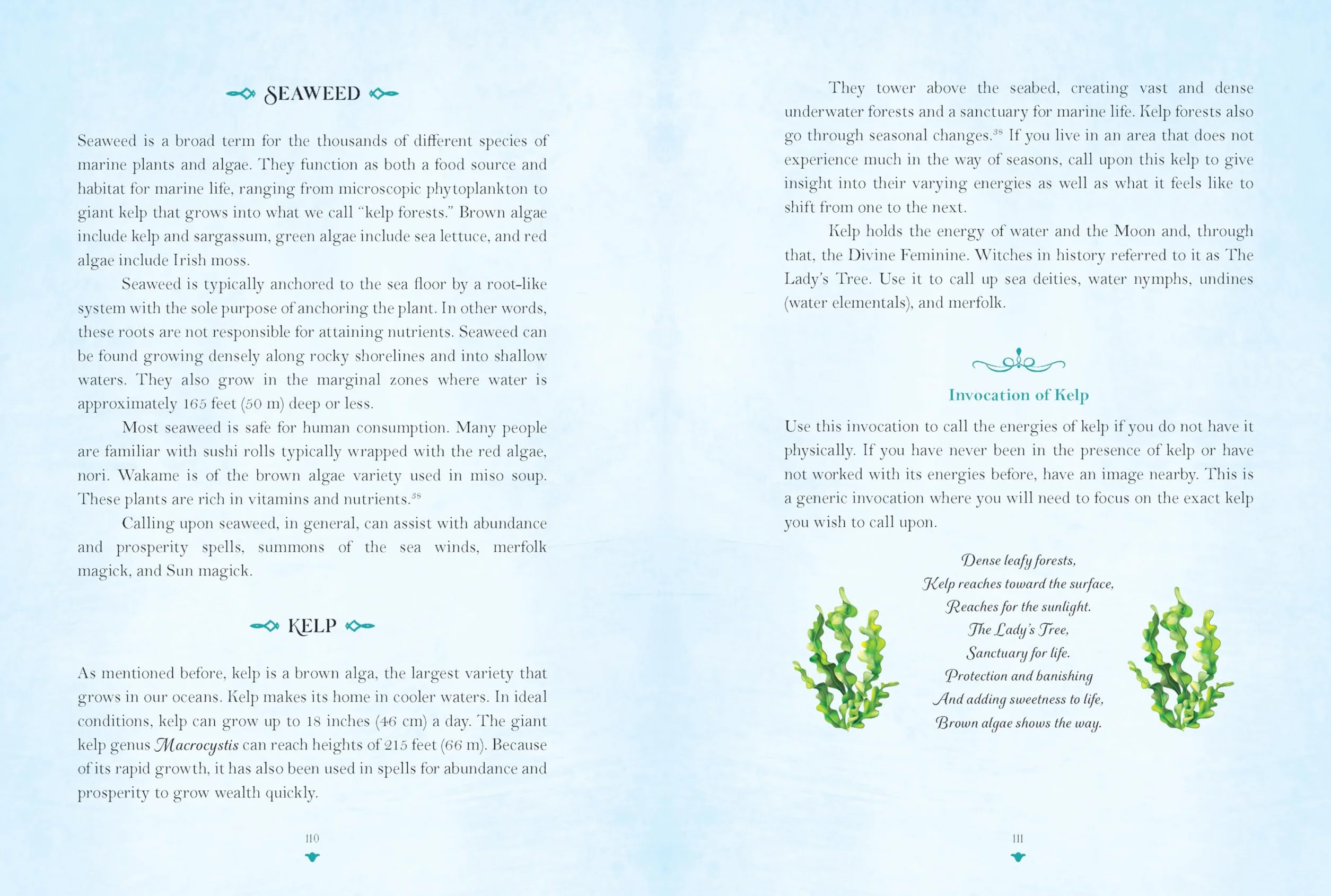 Sea Magick: Connect with the Ocean Through Folklore and Magickal Traditions