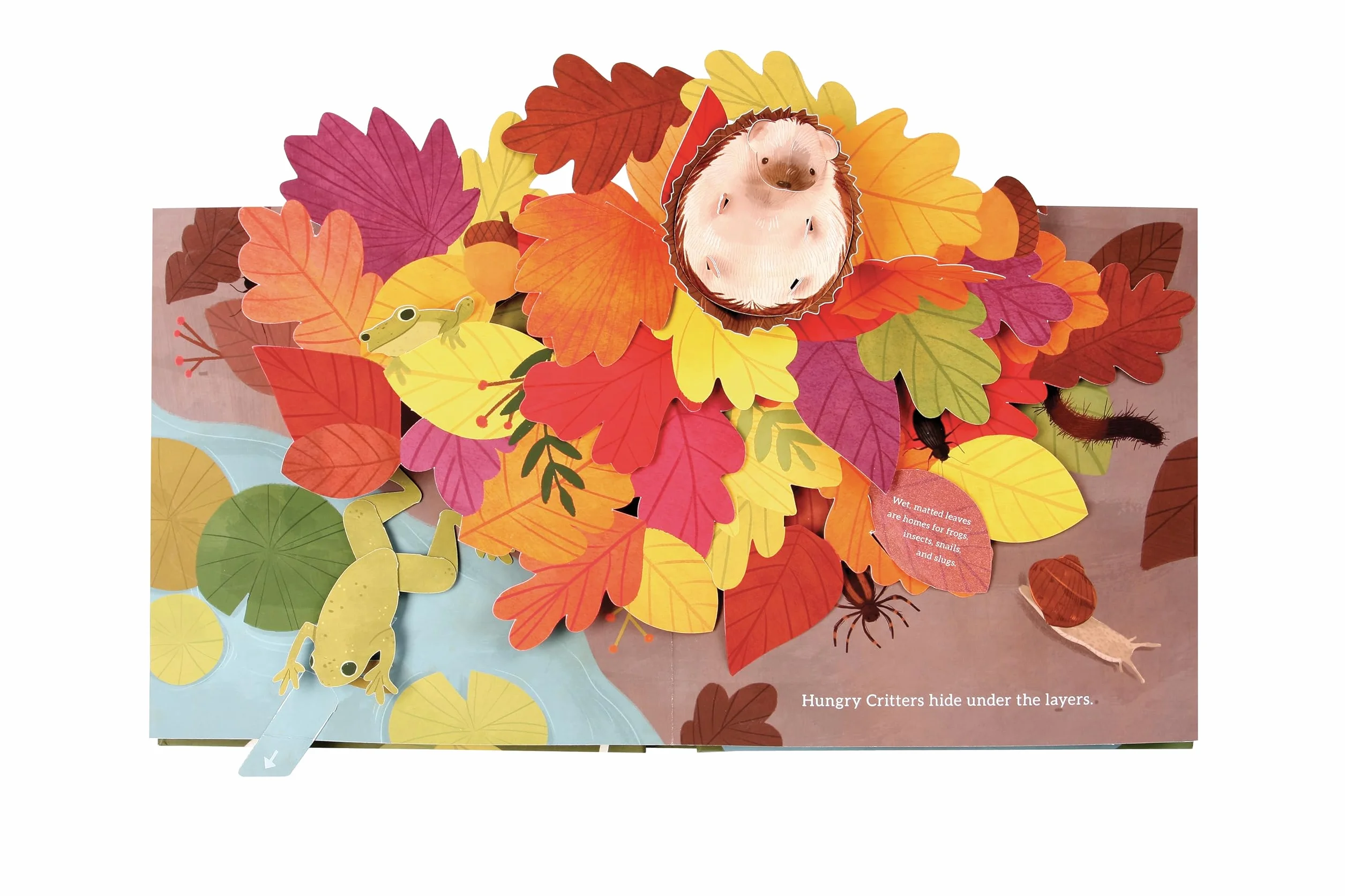 Leaves: An Autumn Pop-Up Book