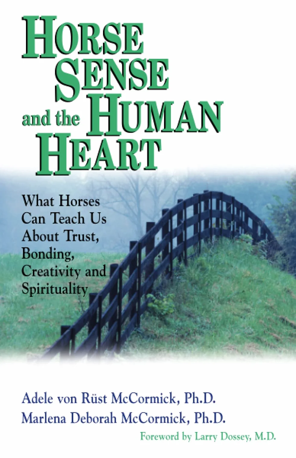 Horse Sense and the Human Heart: Trust, Bonding, Creativity, Spirituality