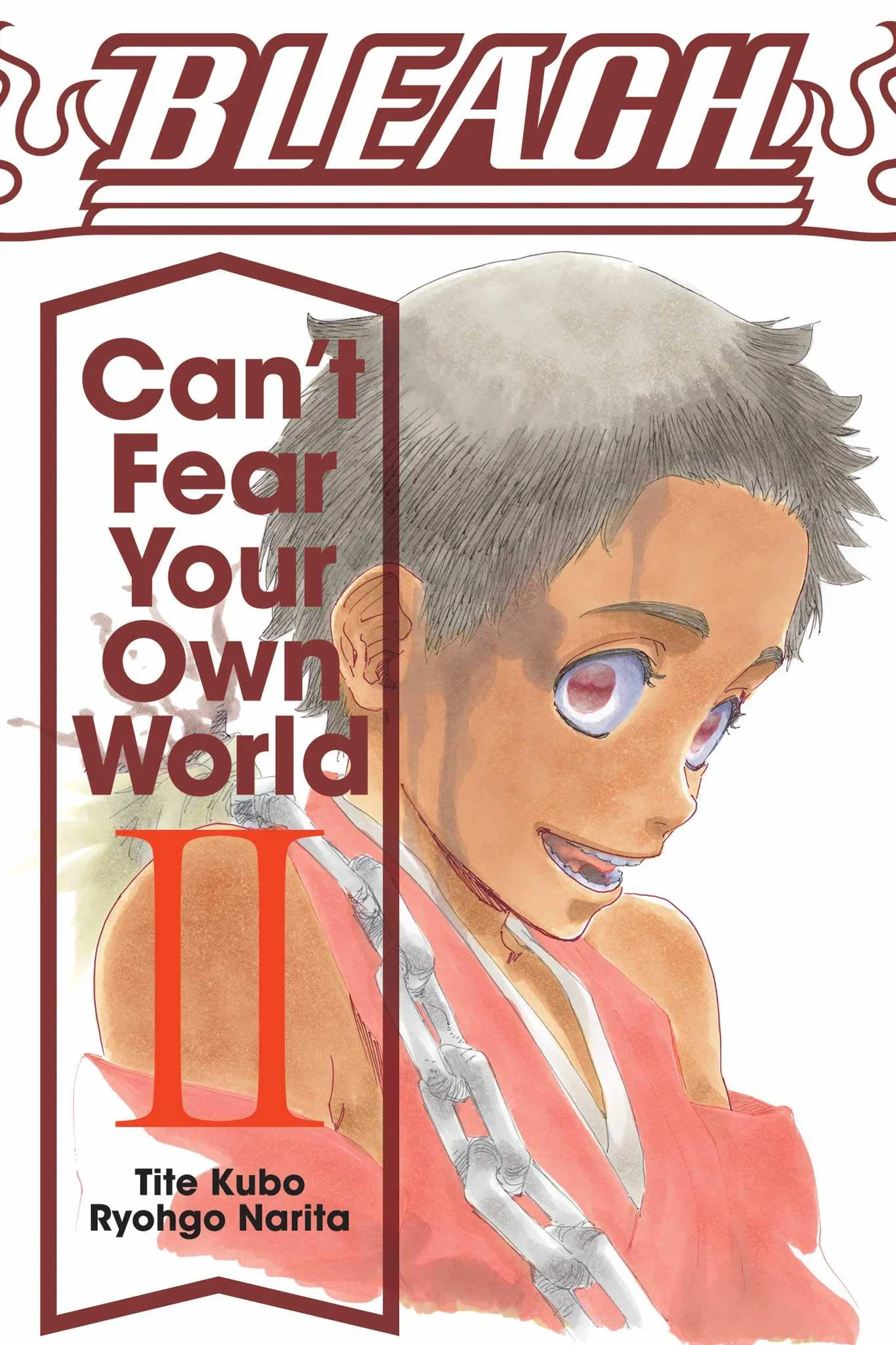 Bleach: Can't Fear Your Own World, Vol. 2
