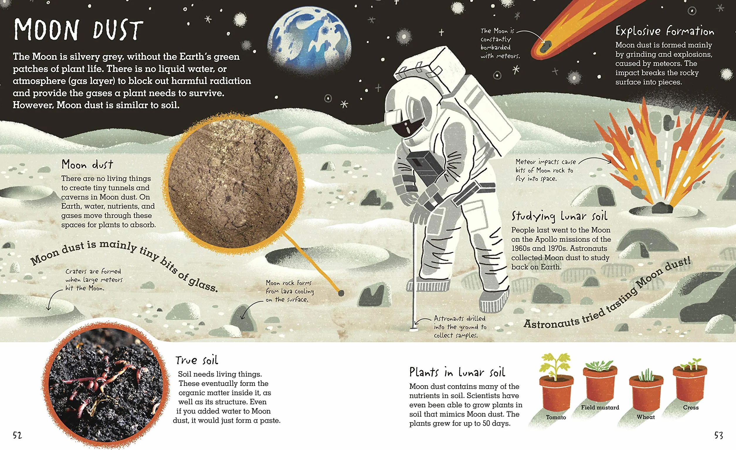 RHS Under Your Feet: Soil, Sand and other stuff (Underground and All Around)