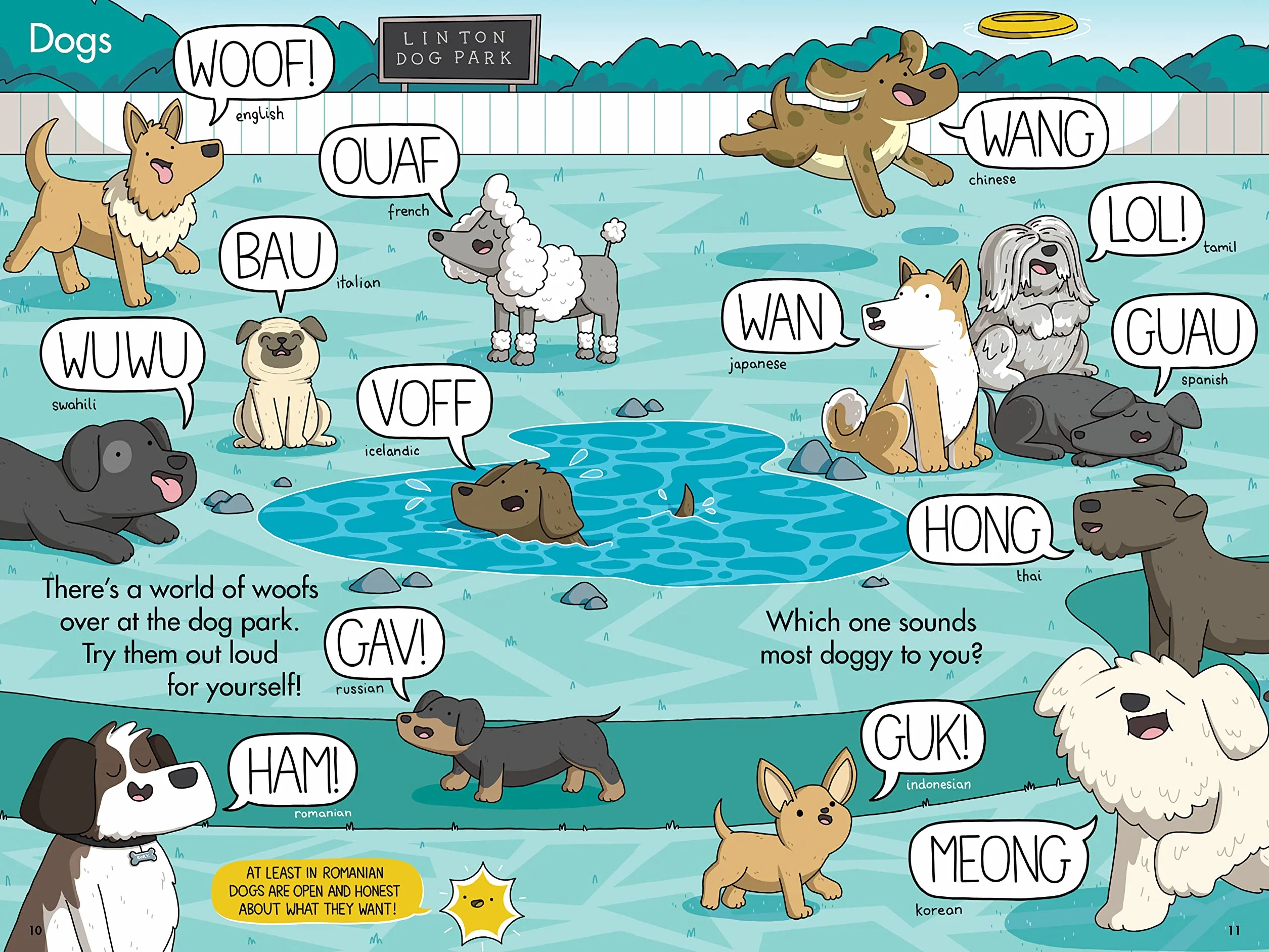 Sounds All Around: A Guide to Onomatopoeias Around the World