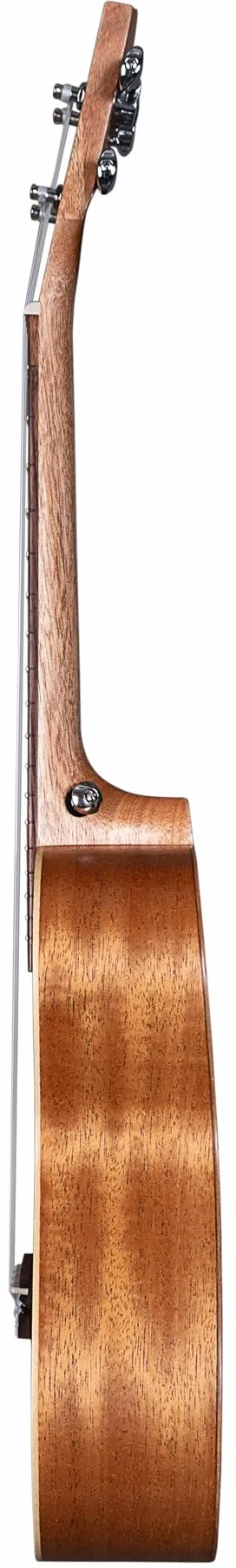 Concert Ukulele Art Series Leafy