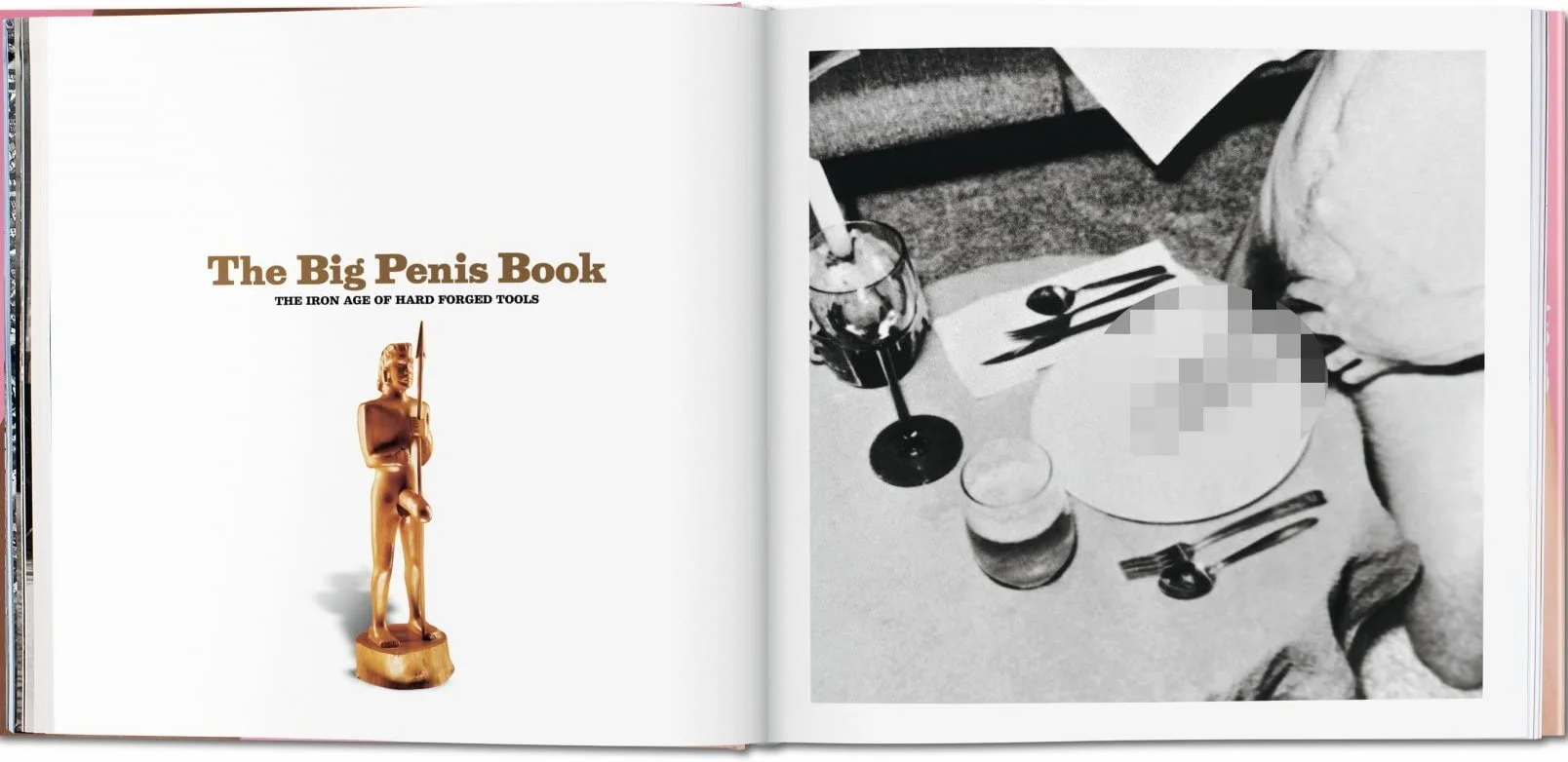 The Big Penis Book: The Fascinating Phallus