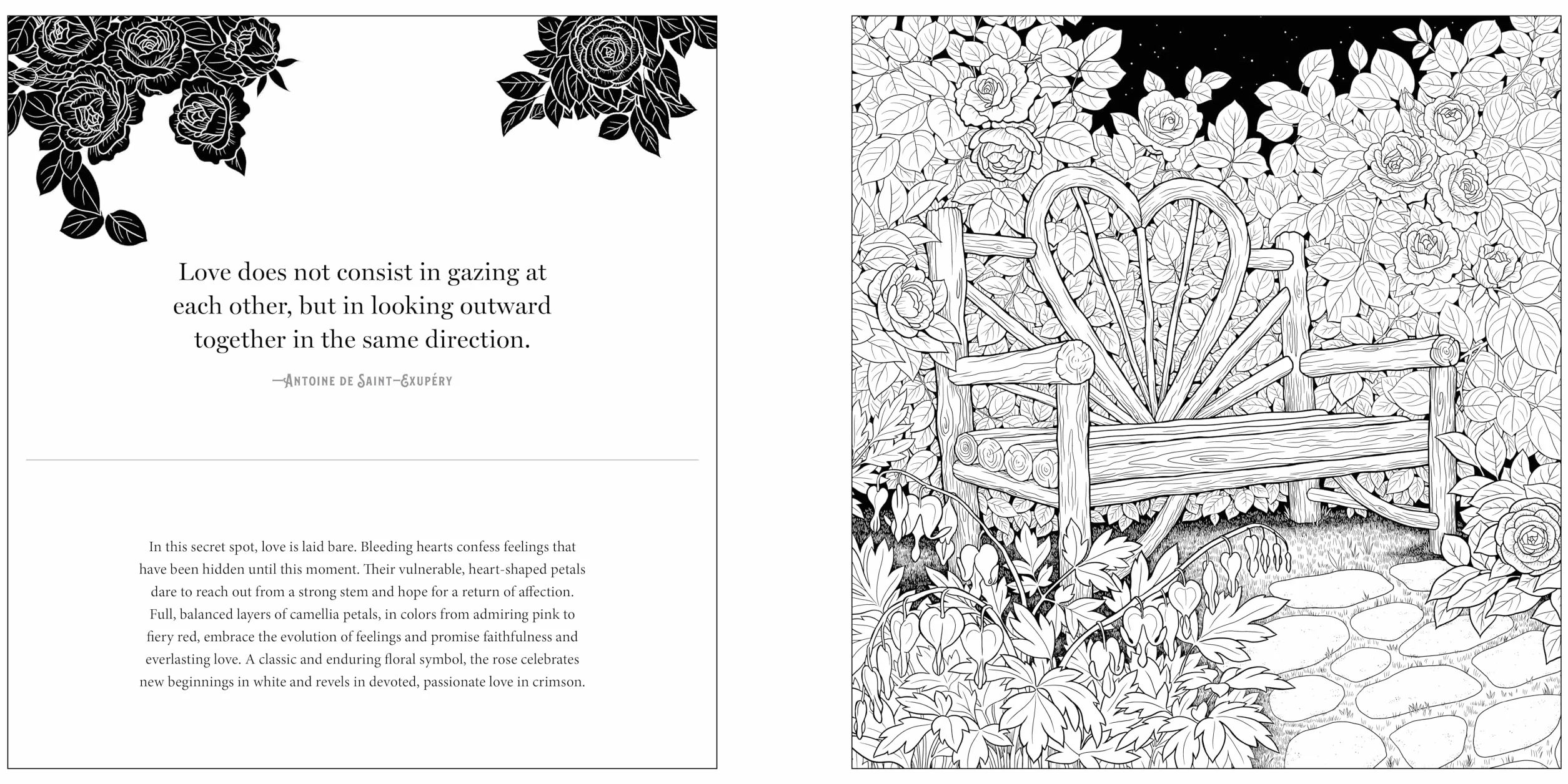 Floriographic: Secret Garden: An Artist's Coloring Book of the Hidden Language of Flowers