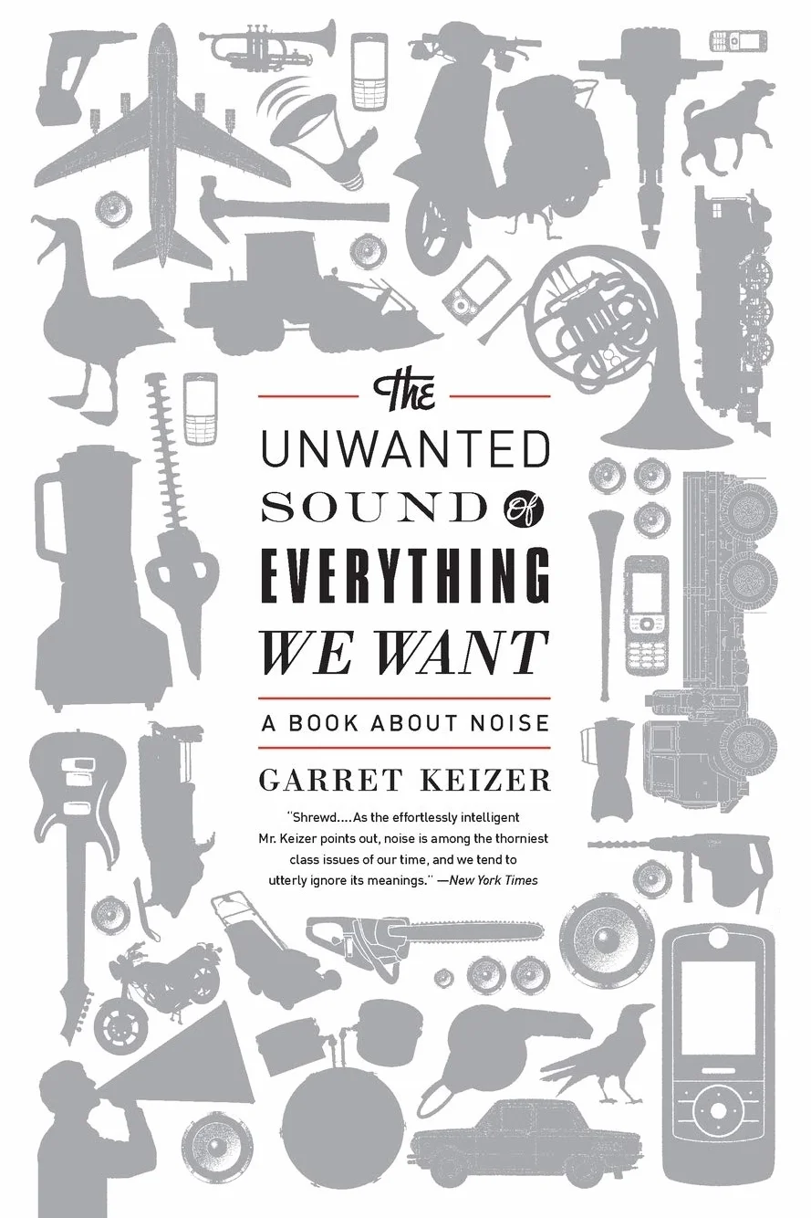 The Unwanted Sound of Everything We Want: A Book about Noise