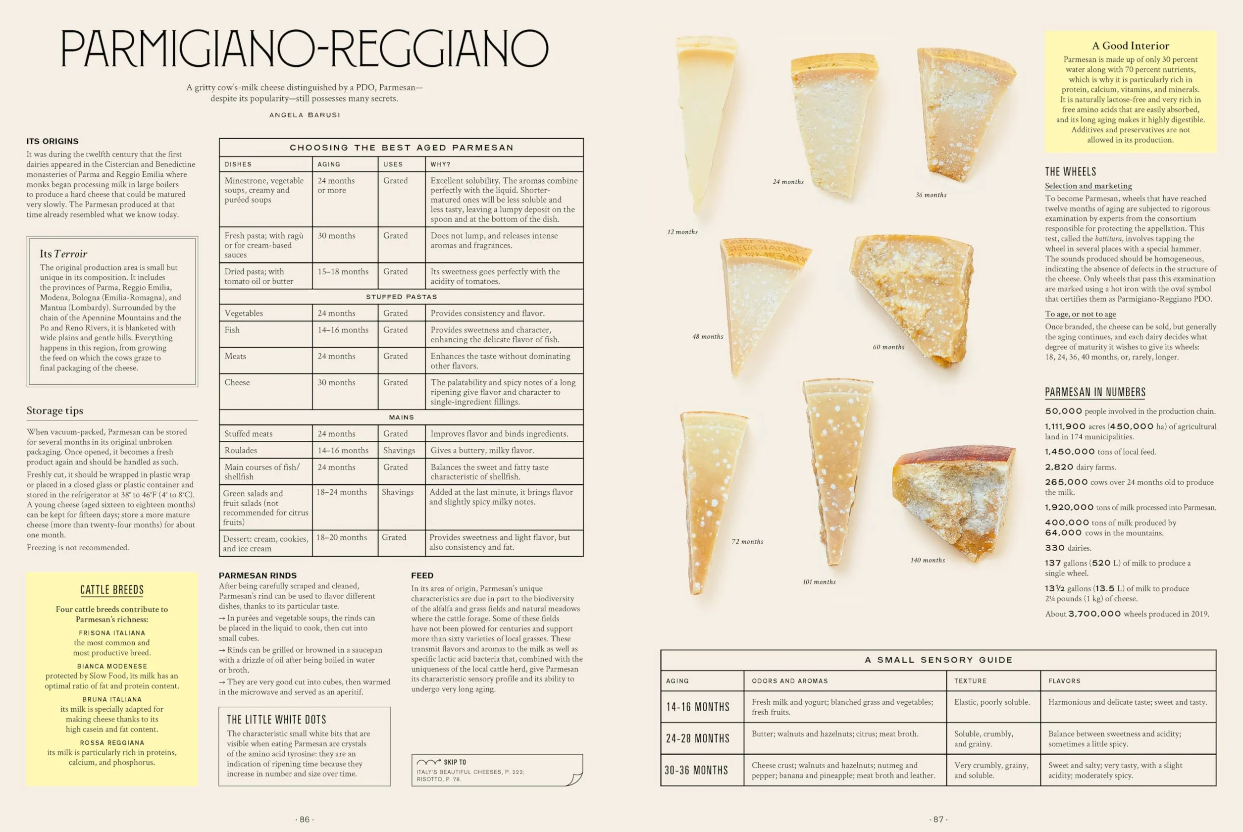 Let's Eat Italy! /anglais: Everything You Want to Know about Your Favorite Cuisine: 2