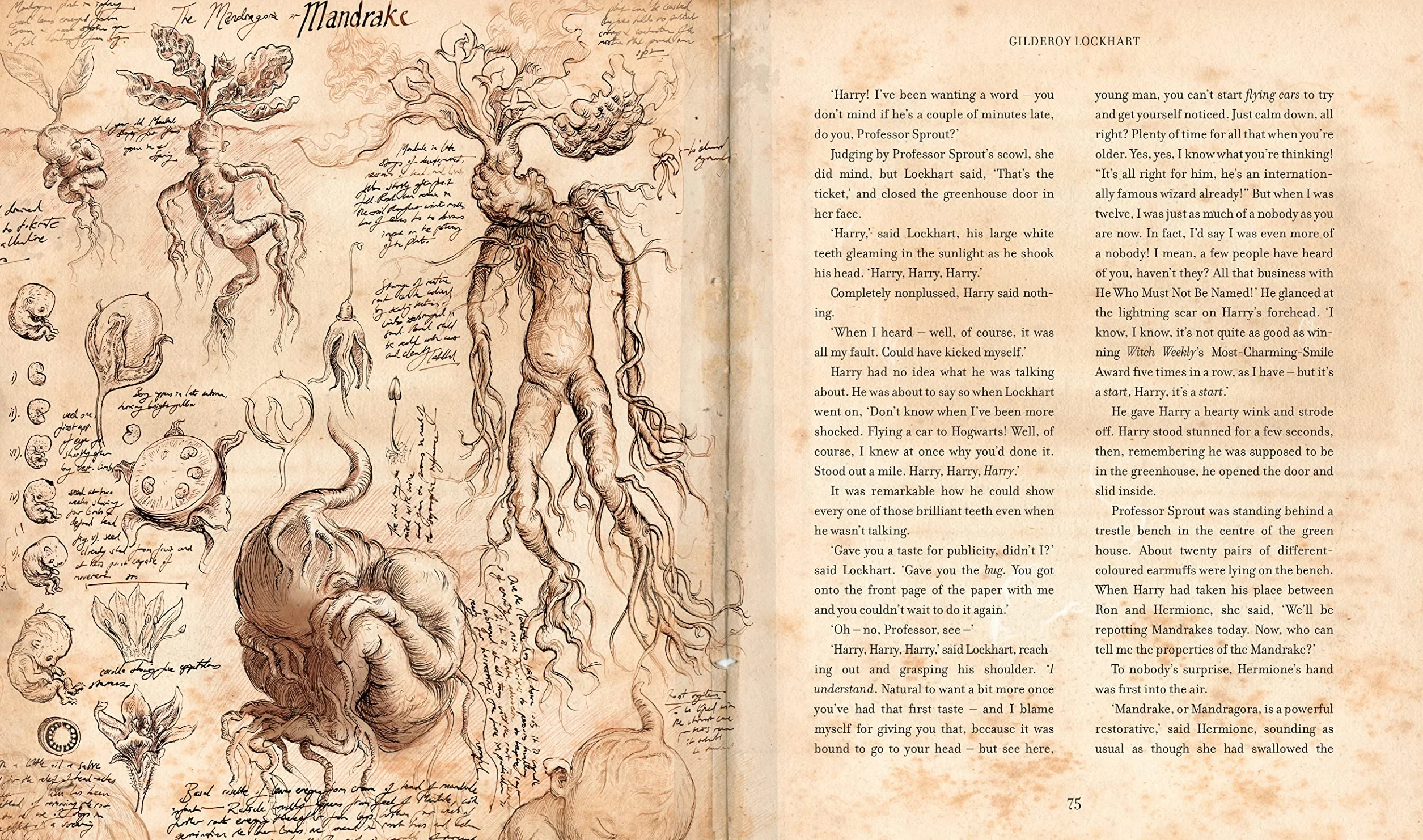 Harry Potter and the Chamber of Secrets: Illustrated Edition