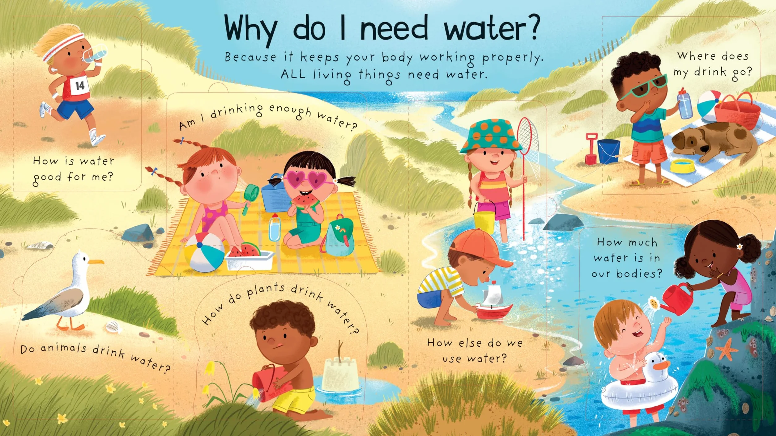 First Questions and Answers: Where does water come from?